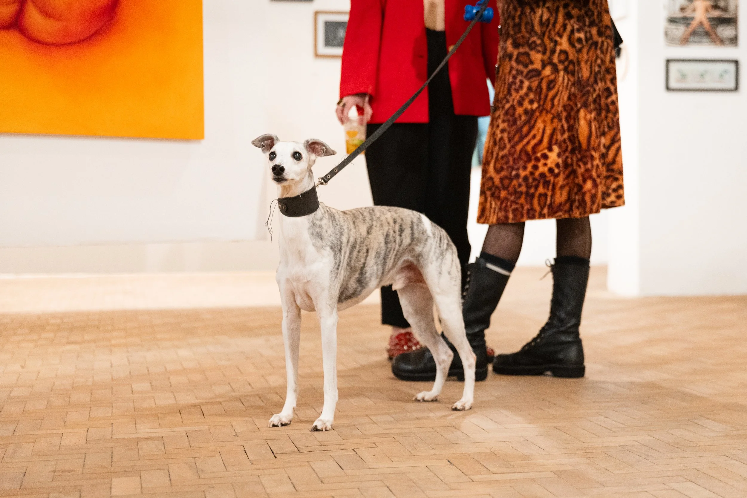 VORTICE FEST DIA09_088.jpg