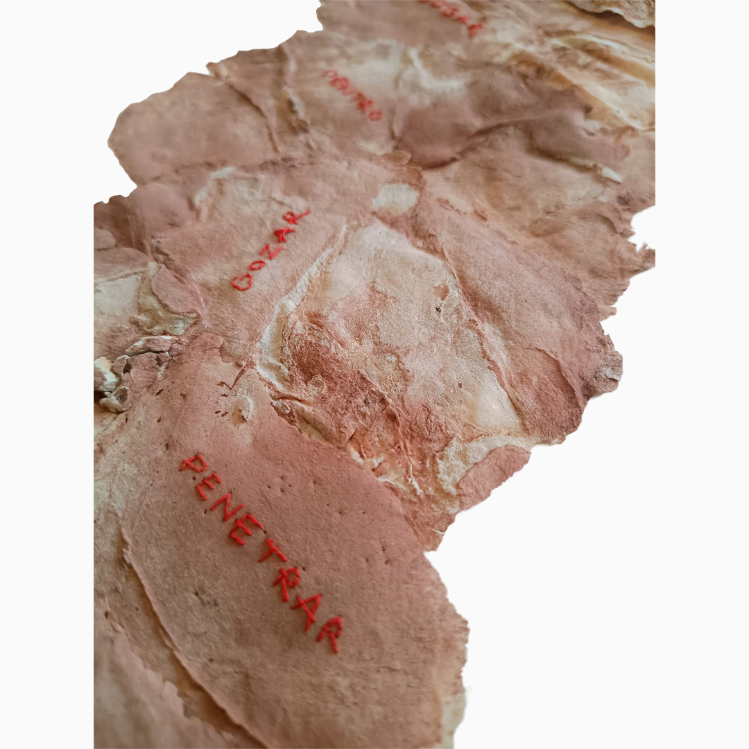 Léa Juliana - Ci(cio) de Pele2.png