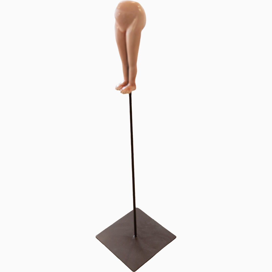 Fernanda d’Boer5.png