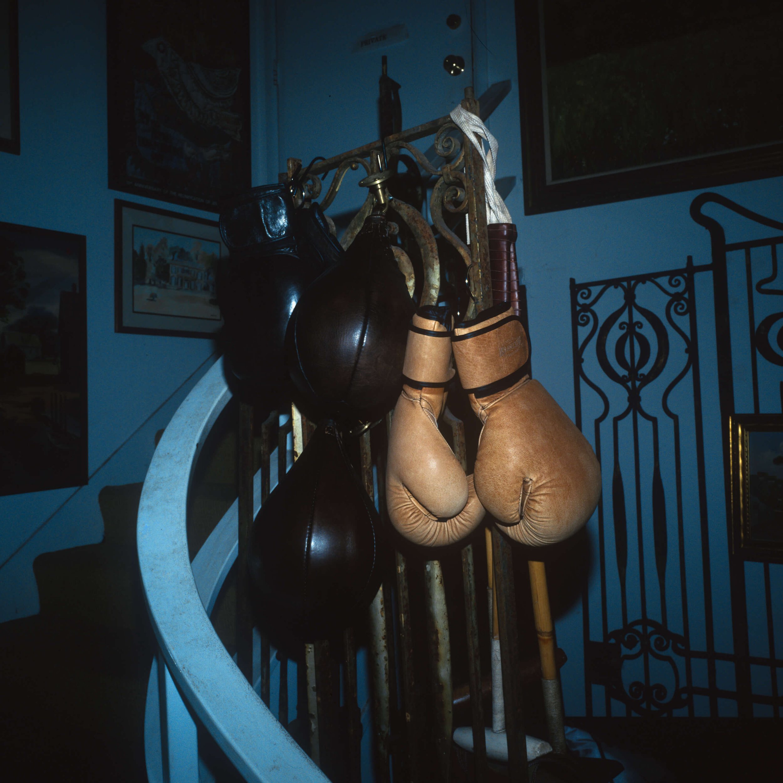 boxingGloves.jpg