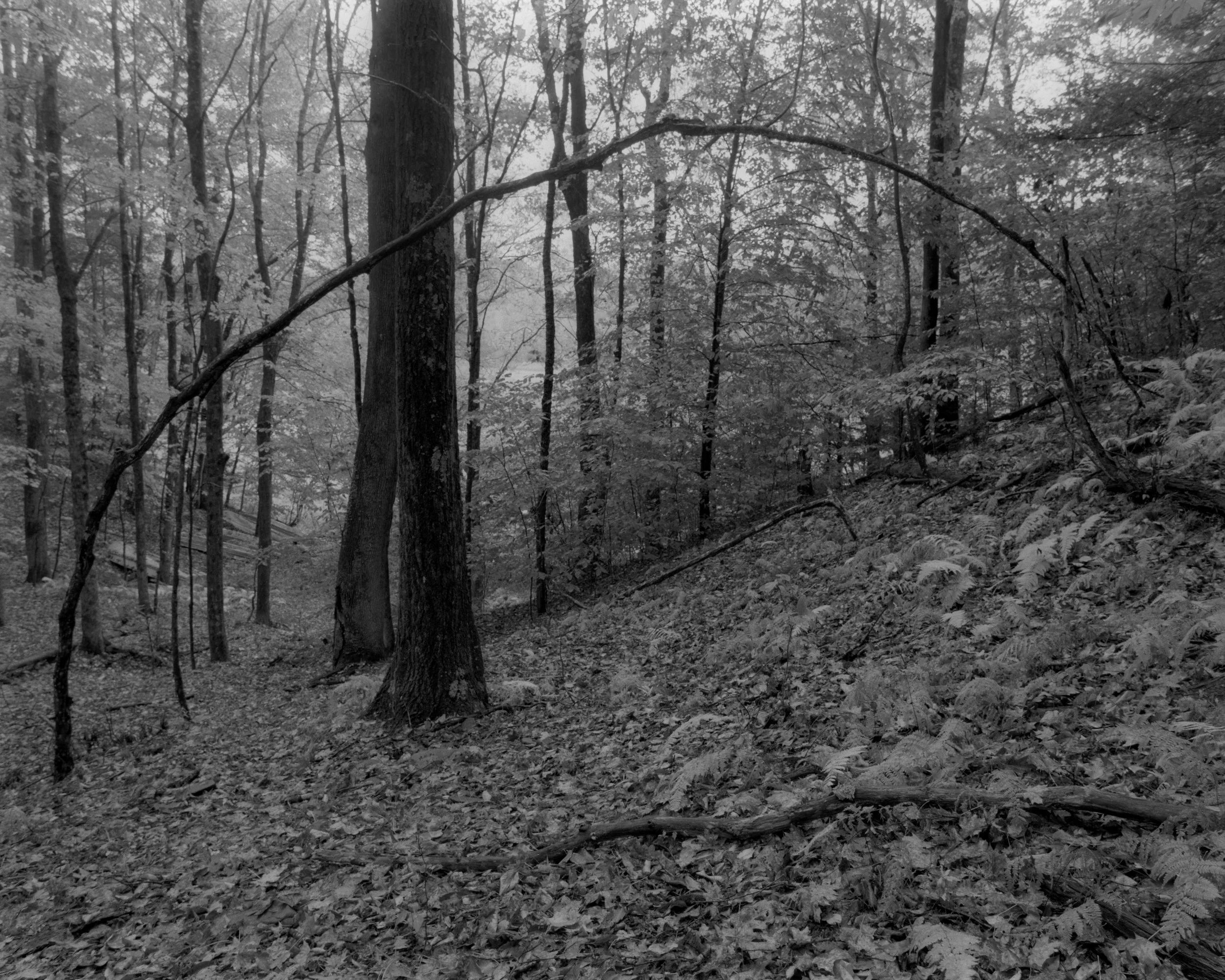 schoharie-4.jpg