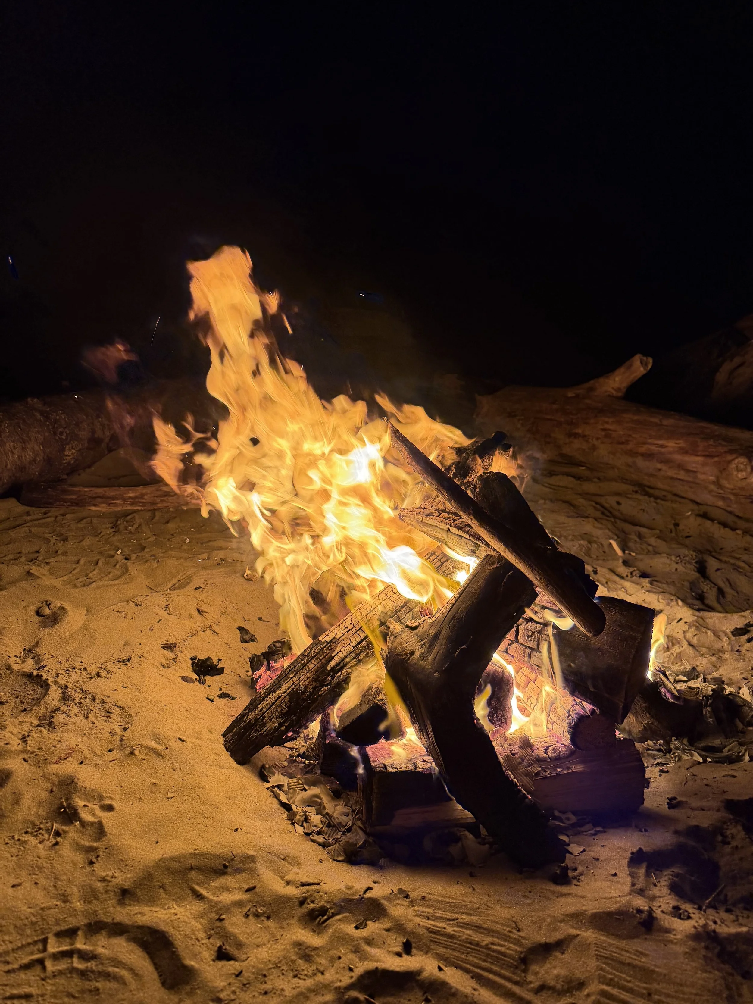 Trauma and Life Stressors