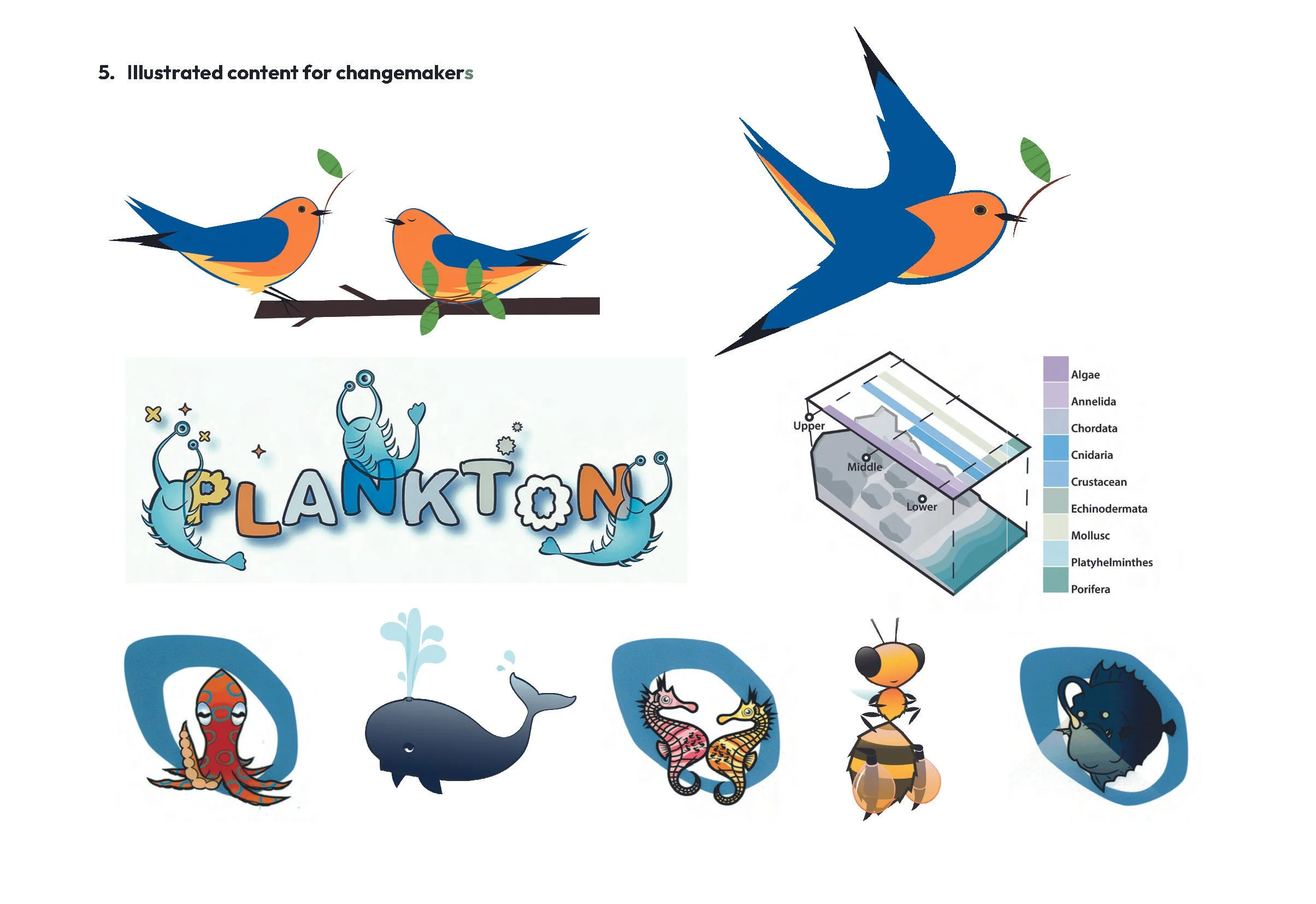 Illustration of various birds, marine creatures, insects, and a diagram of a marine ecosystem showing different habitats and their corresponding species.
