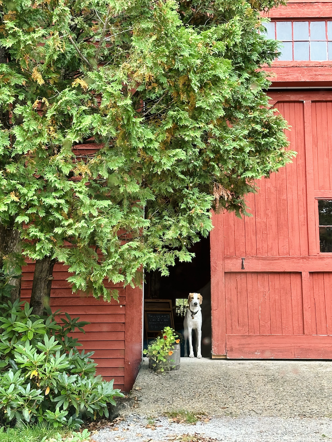 Screenshot 2024-06-20 at 8.53.24 PM.png