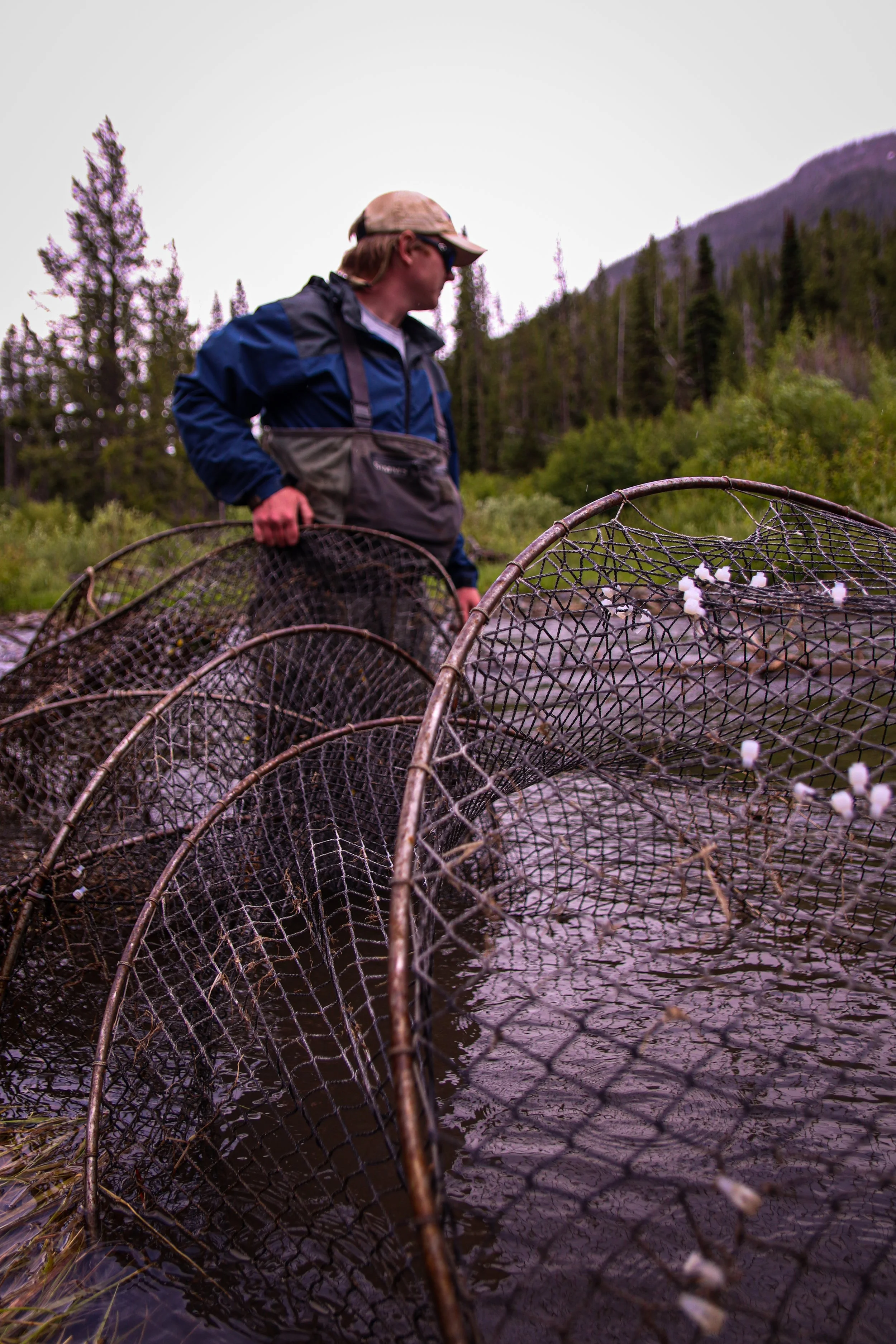 YCT - John Field Work (1).JPG