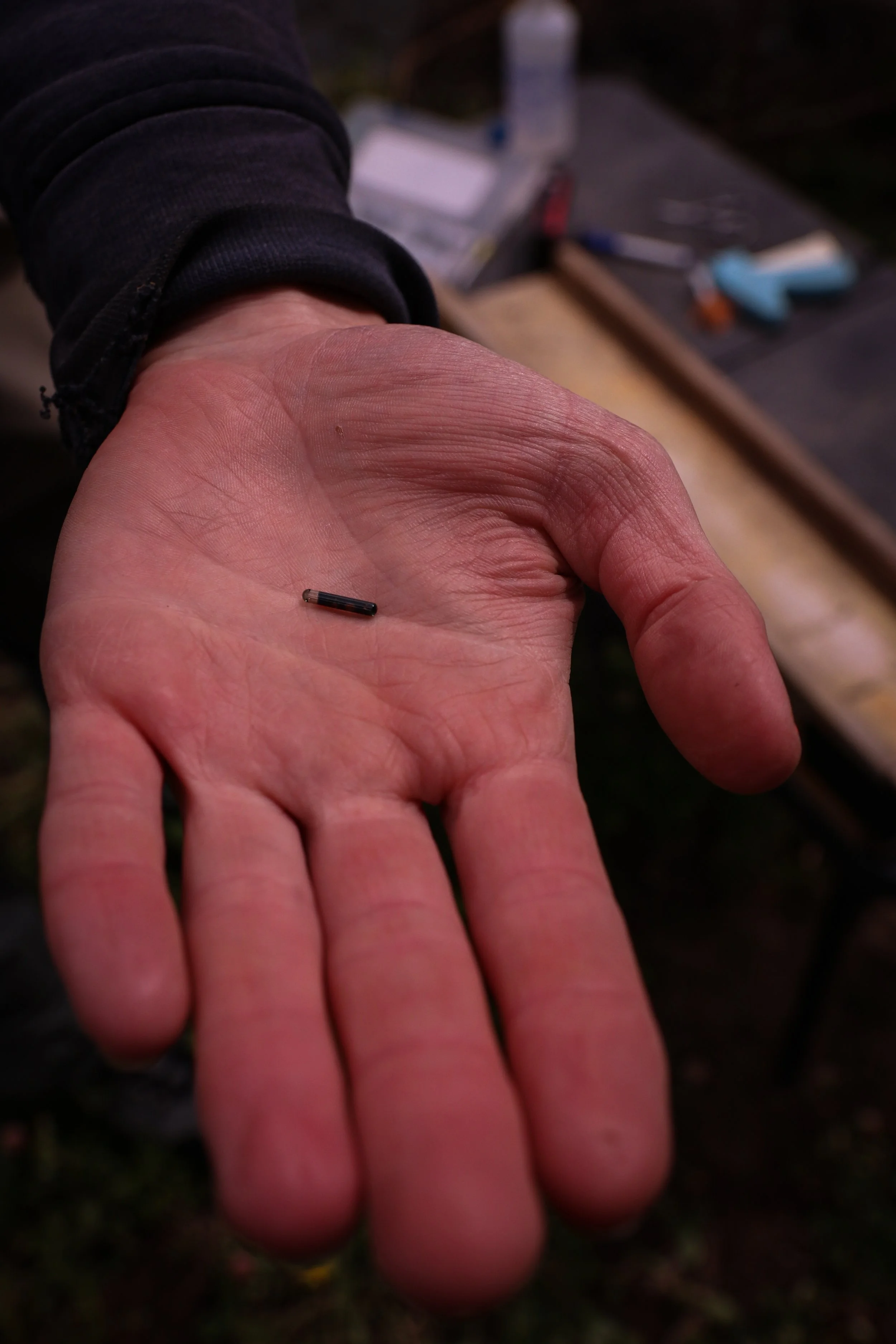 YCT - John Field Work (4).jpg