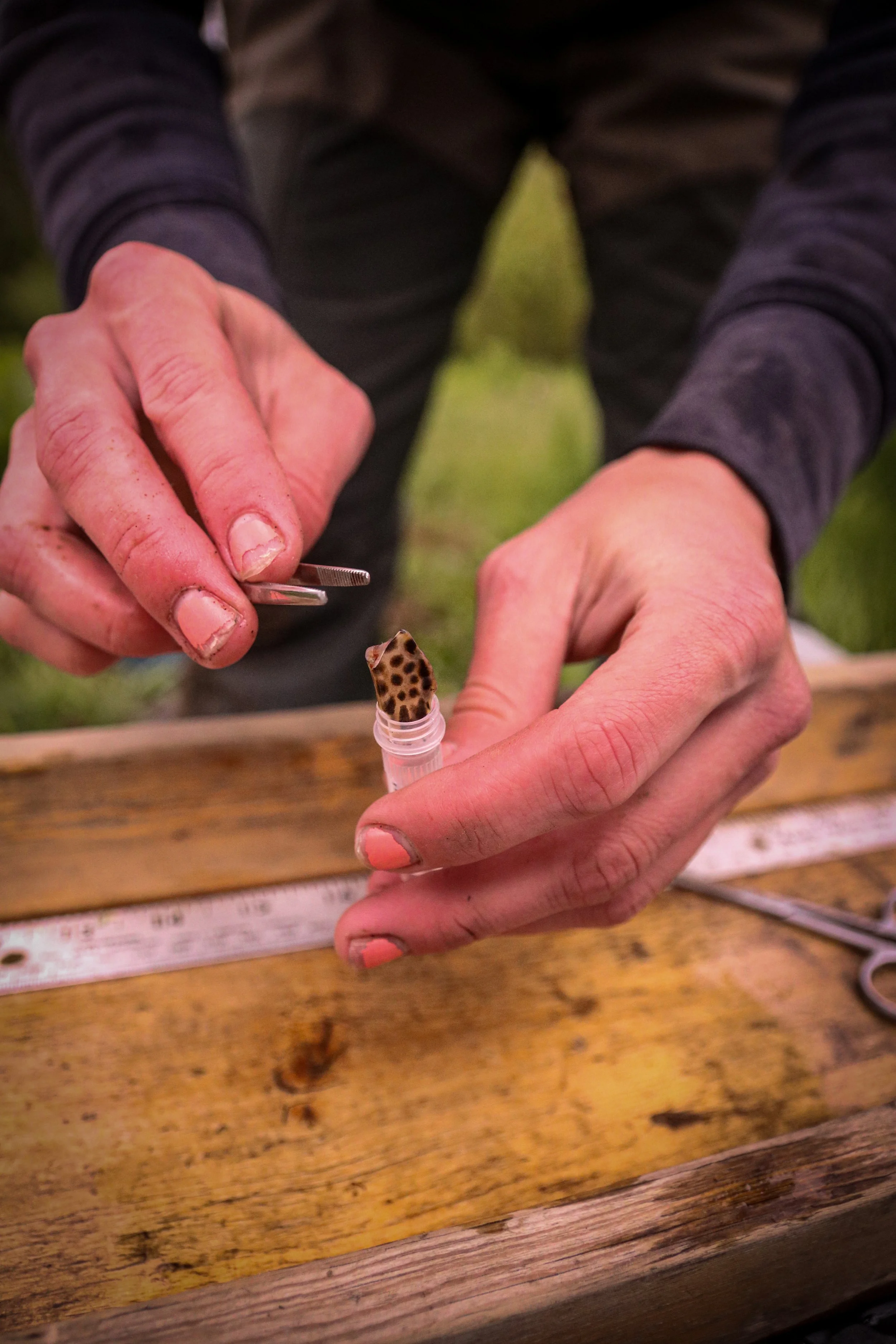 YCT - John Field Work (2).jpg