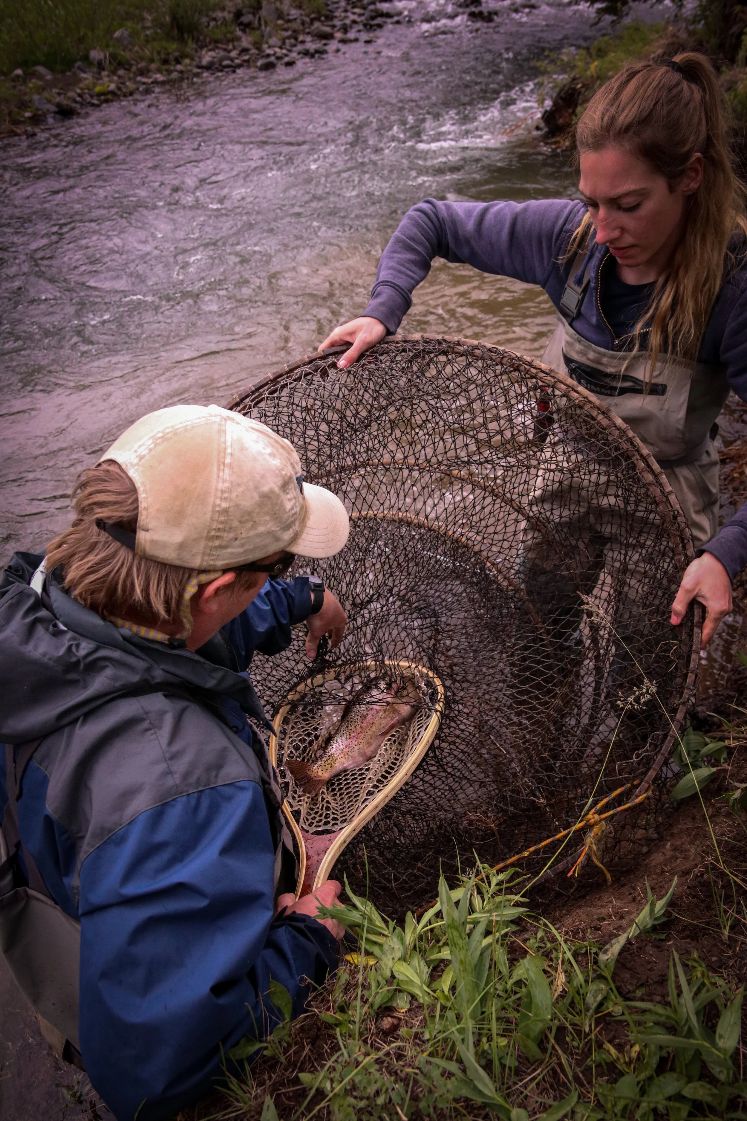 YCT - John Field Work (7).jpg