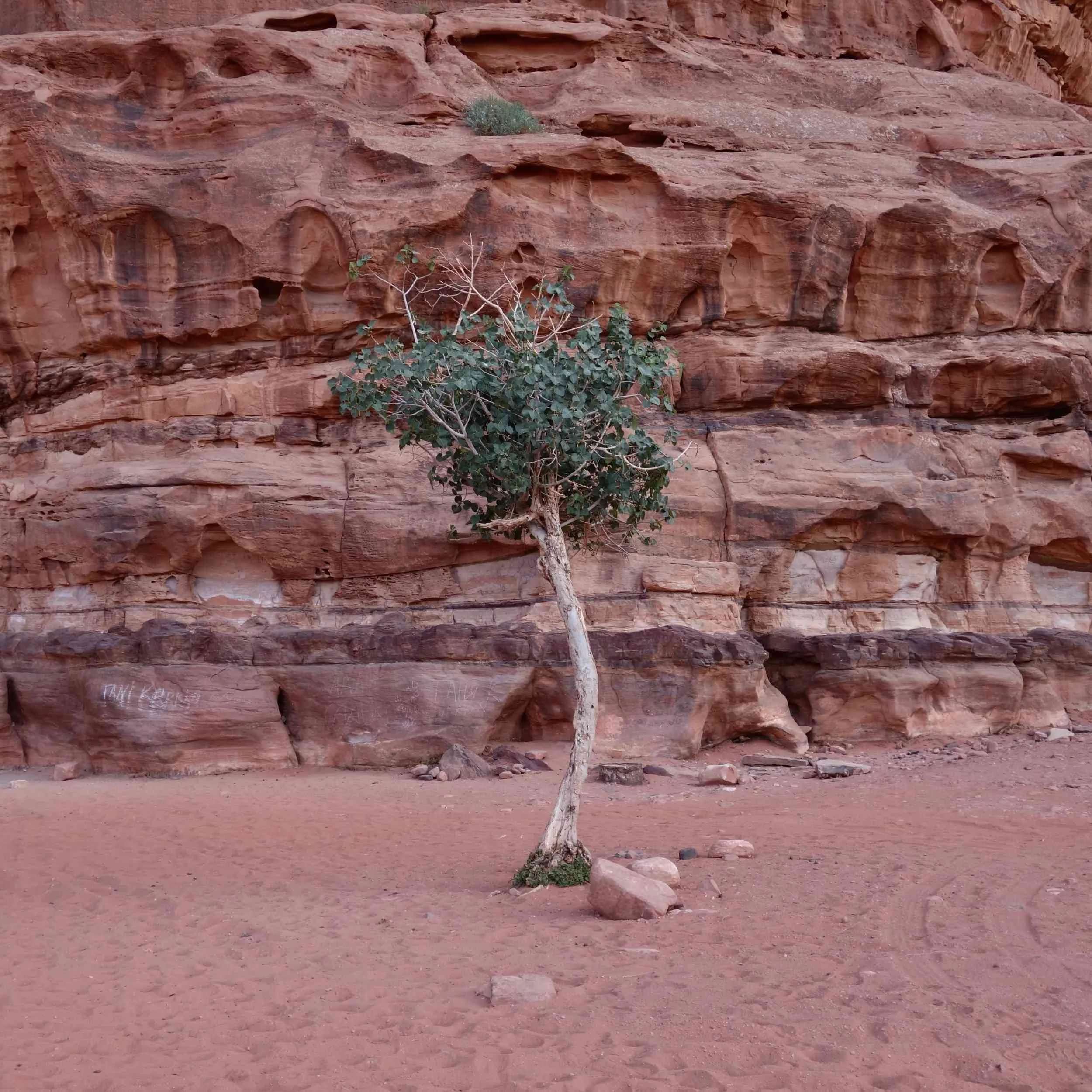 Wadi Rum, Jordan