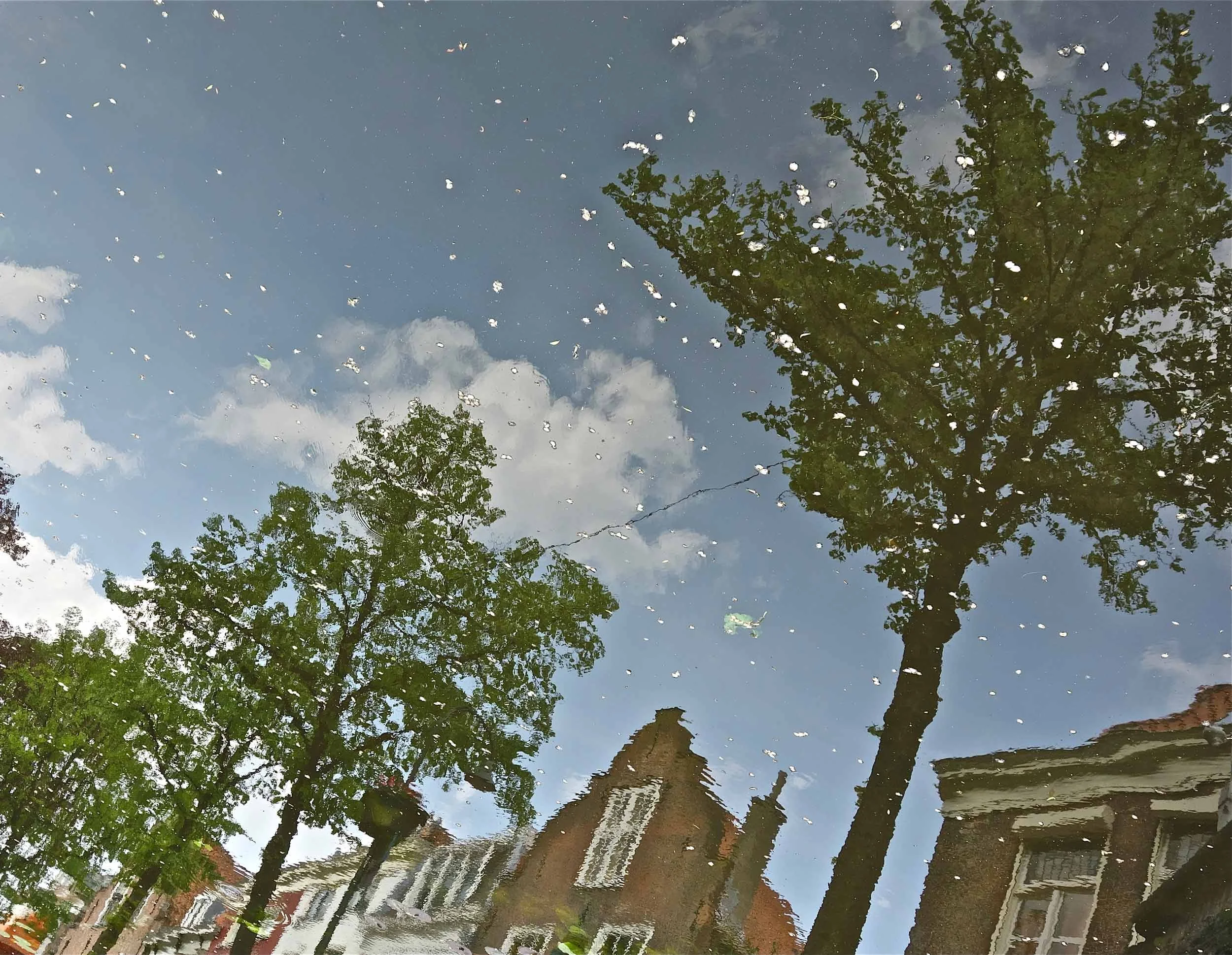 Canal reflection, Delft, The Netherlands