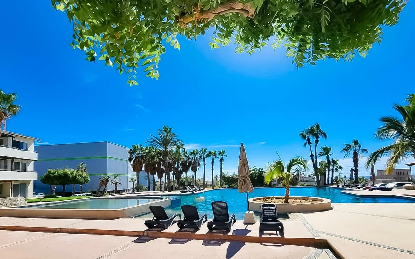 Tamar pool.jpg