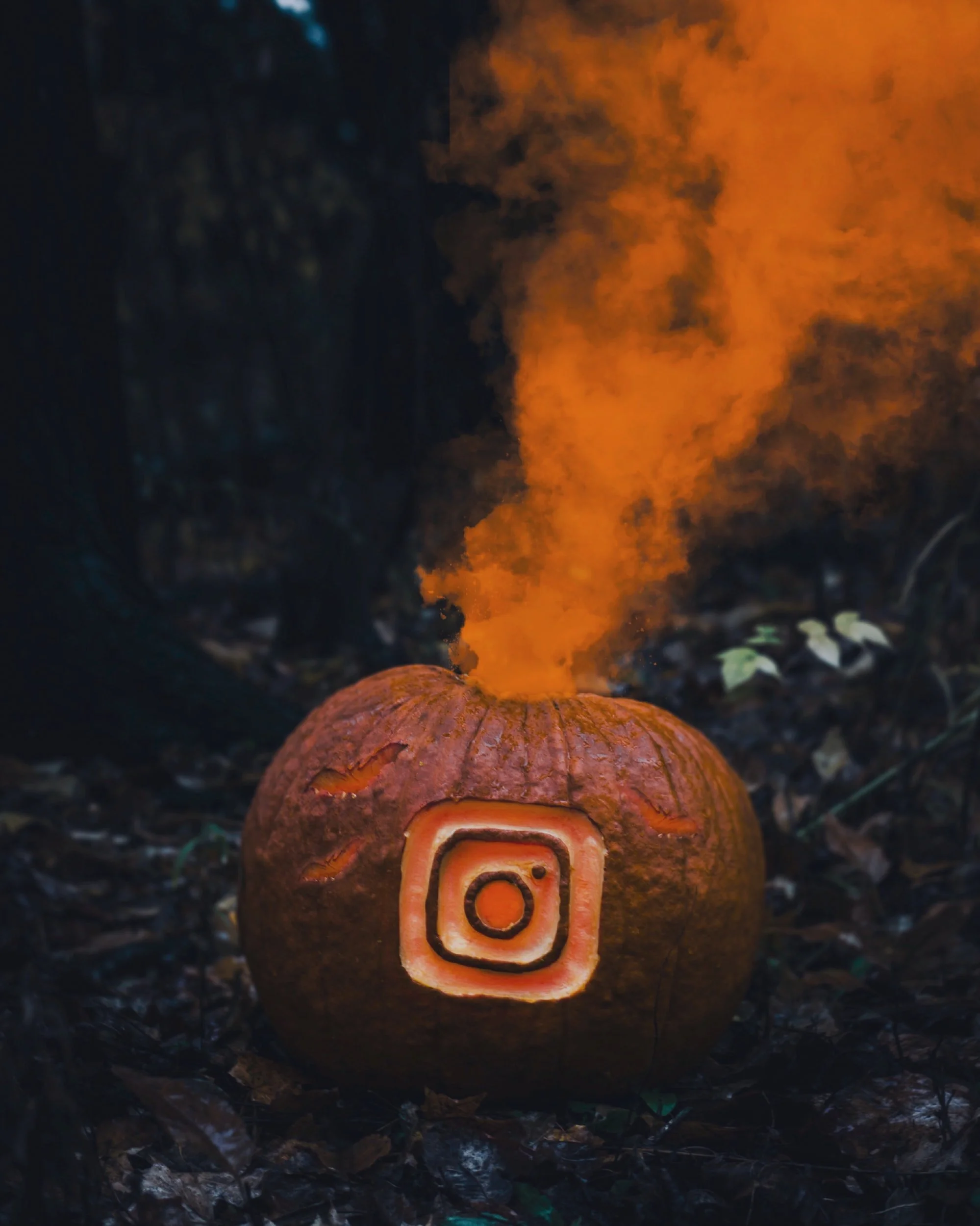 unsplash-image-YMvUFHOXqDA.jpg