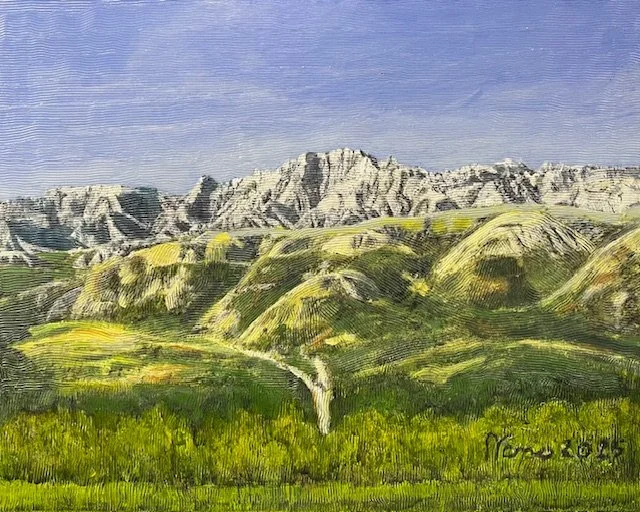 Badlands SD Spring #1, 2025