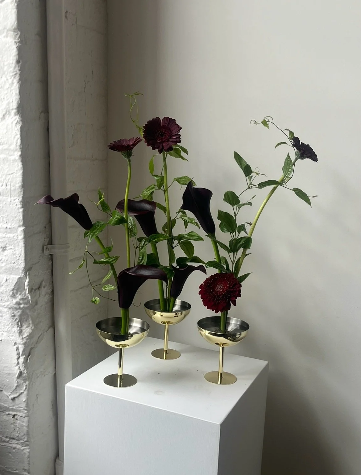 These only existed in my head for so long I&rsquo;m so happy I finally got to make them :) callas, gerbera, &amp; my favorite stemona 

#floraldesign #nycflorist