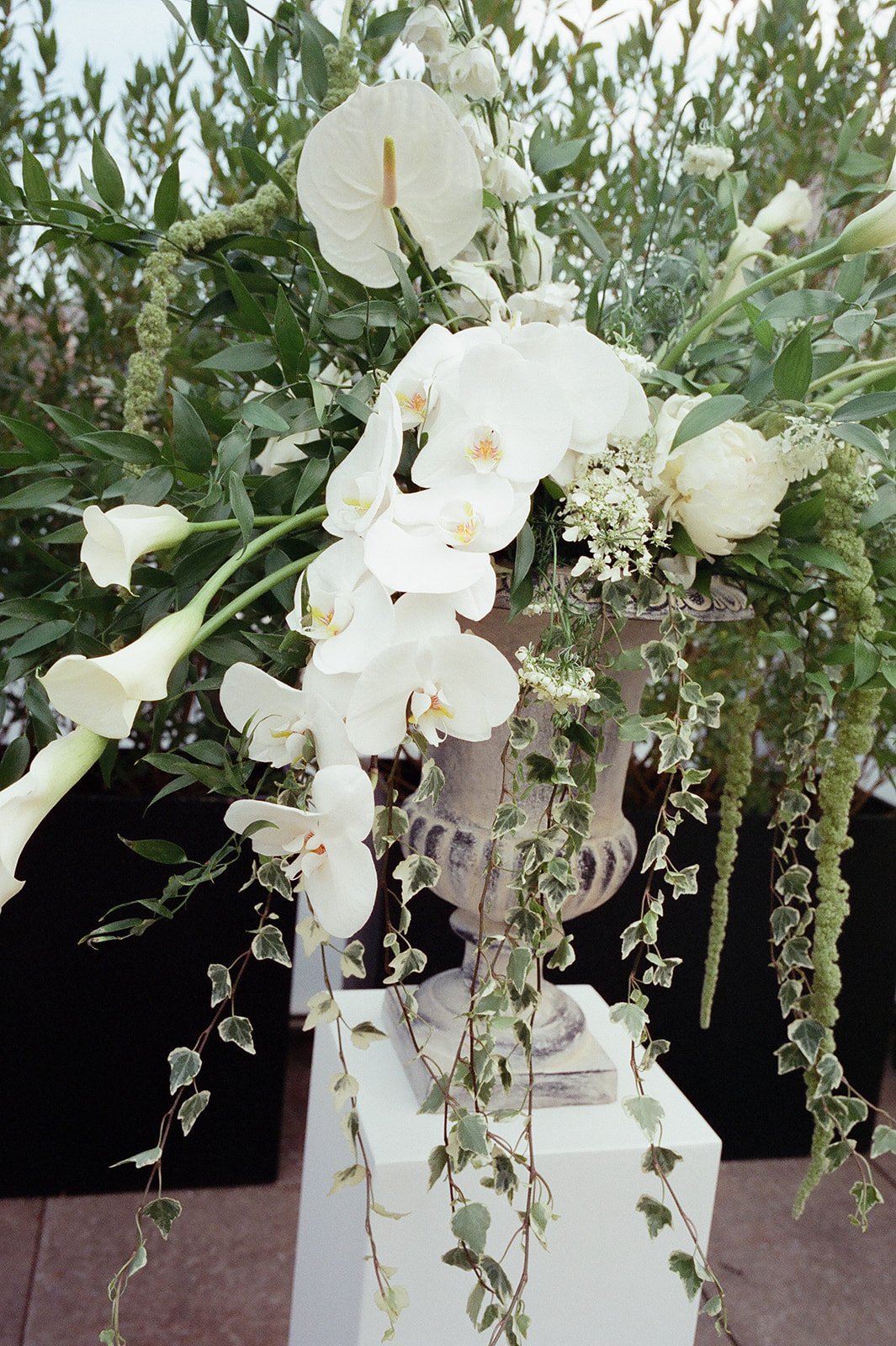 DL_Film-27.jpg