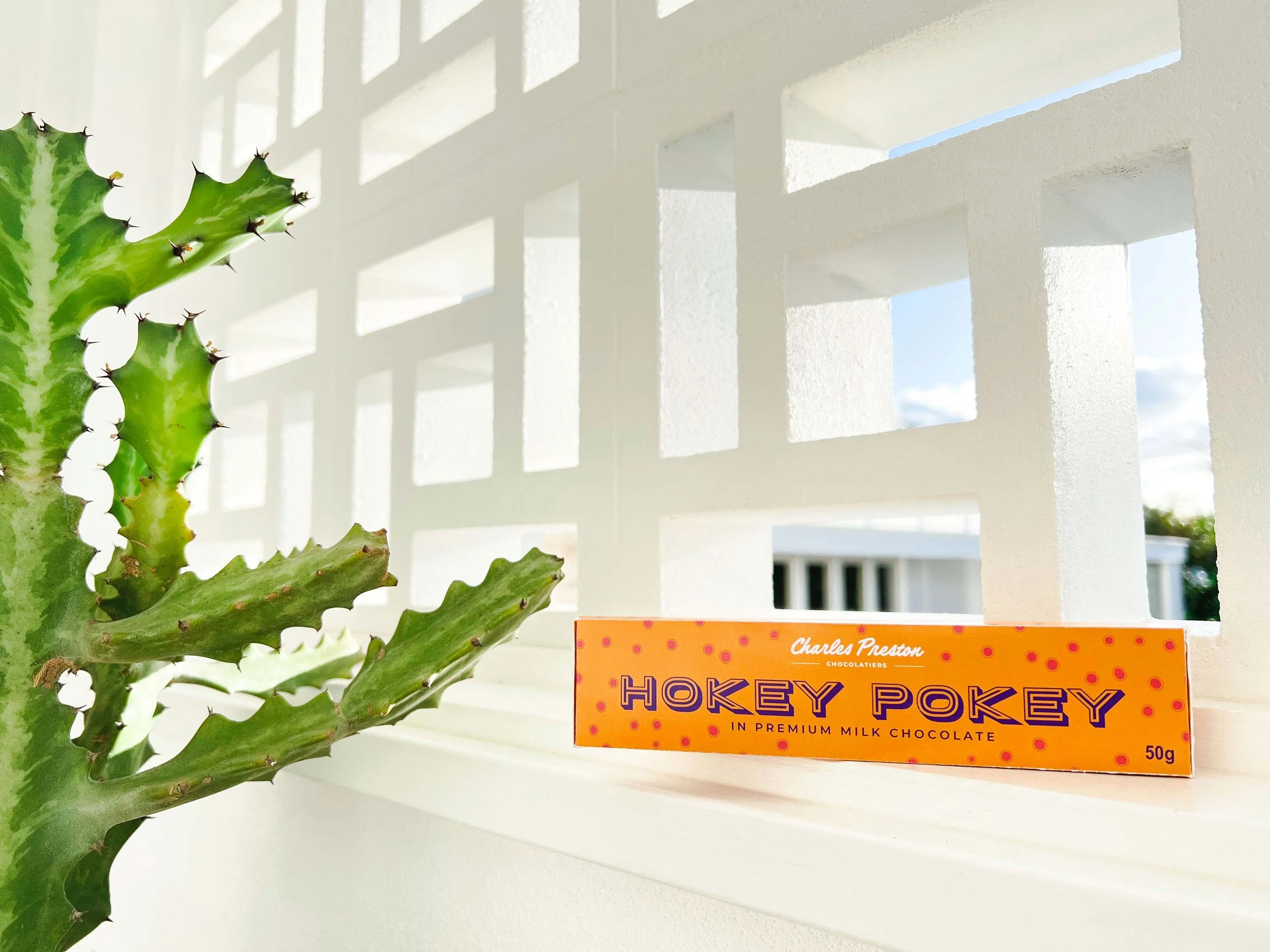 HokeyPokey-4.jpg