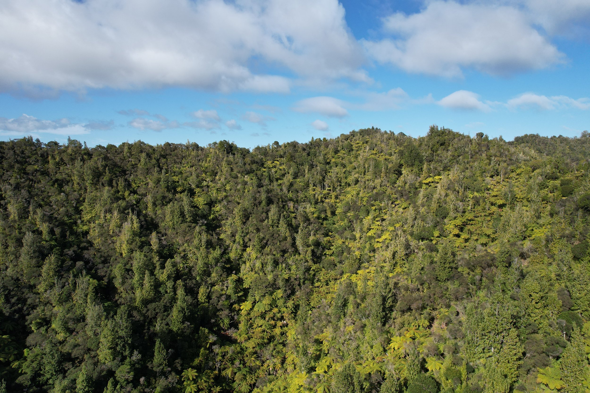 2024-07-24 11.51.28.jpg