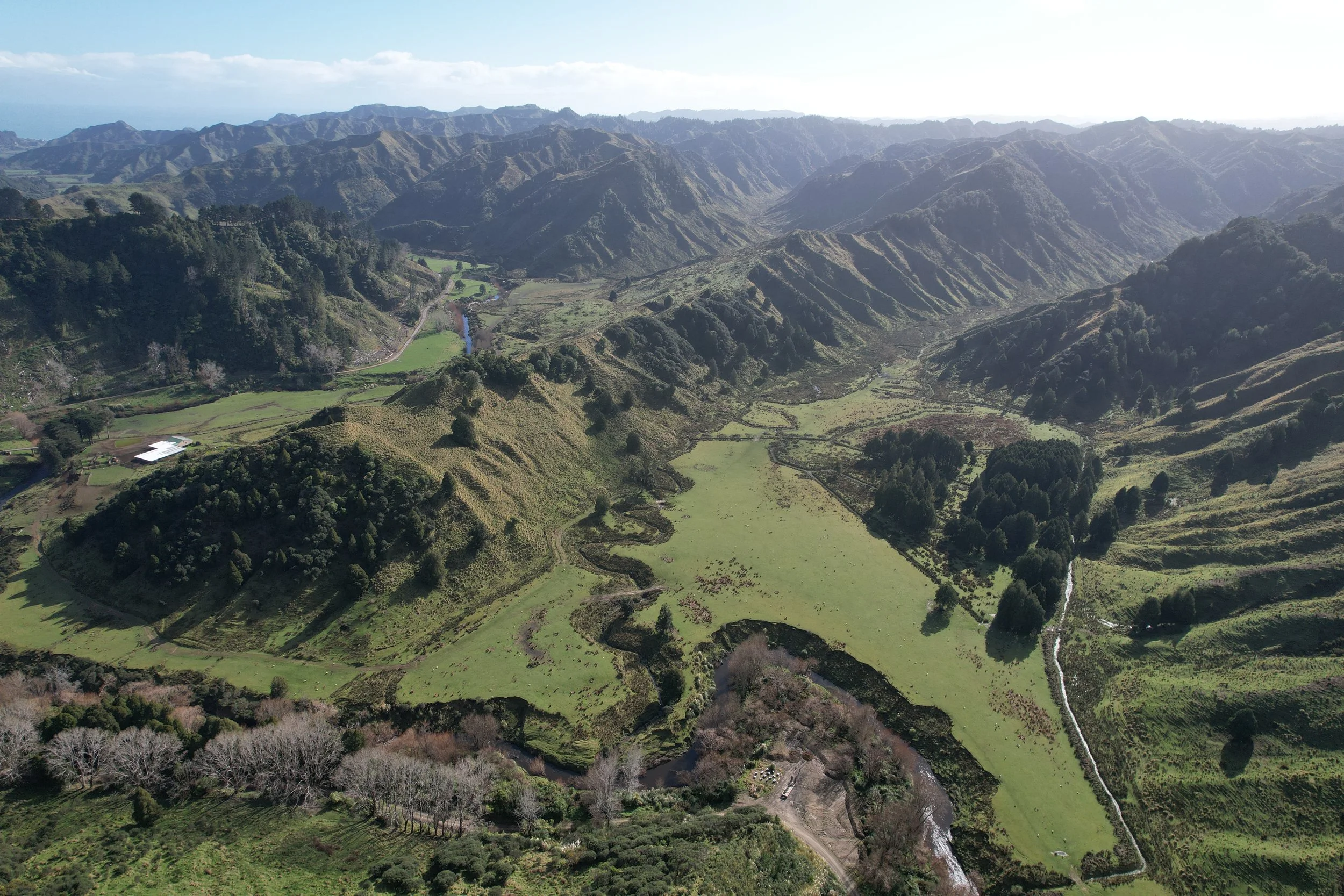 2024-07-24 11.55.56.jpg