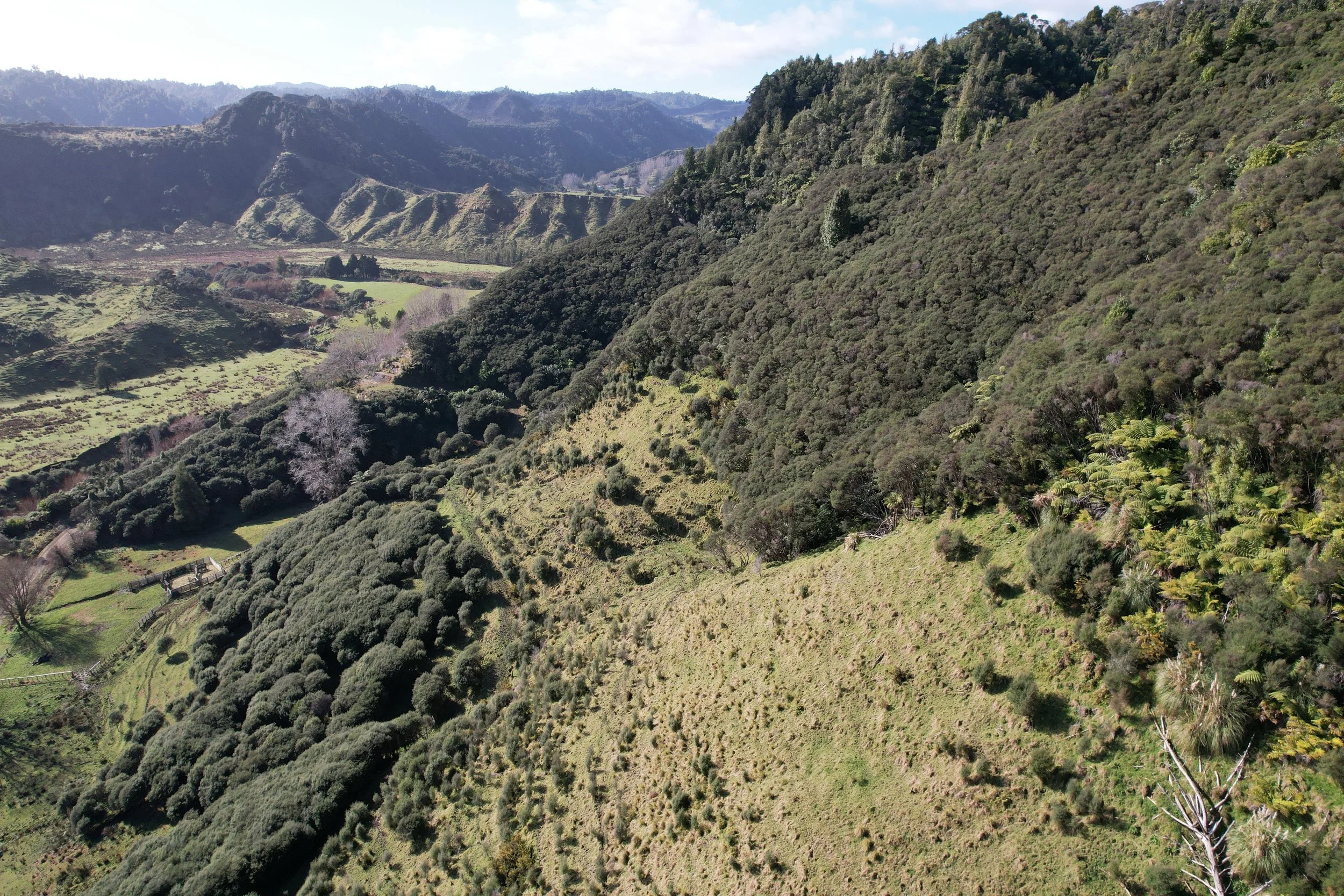 2024-07-24 11.49.53.jpg