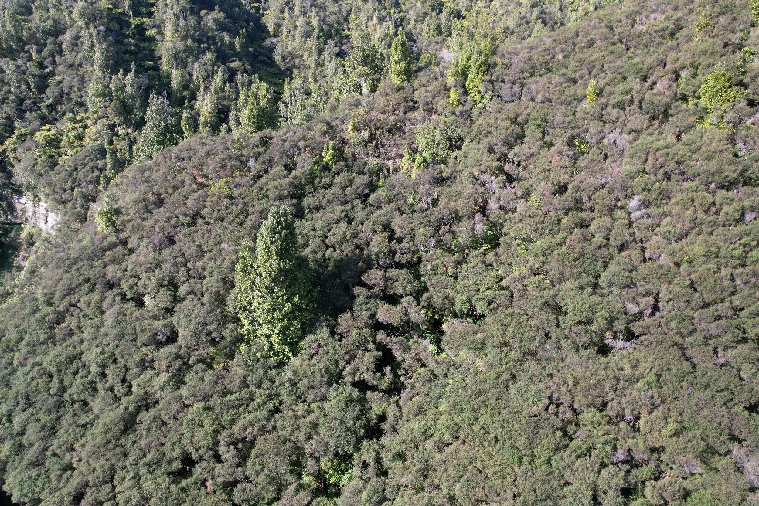 2024-07-24 11.50.13.jpg