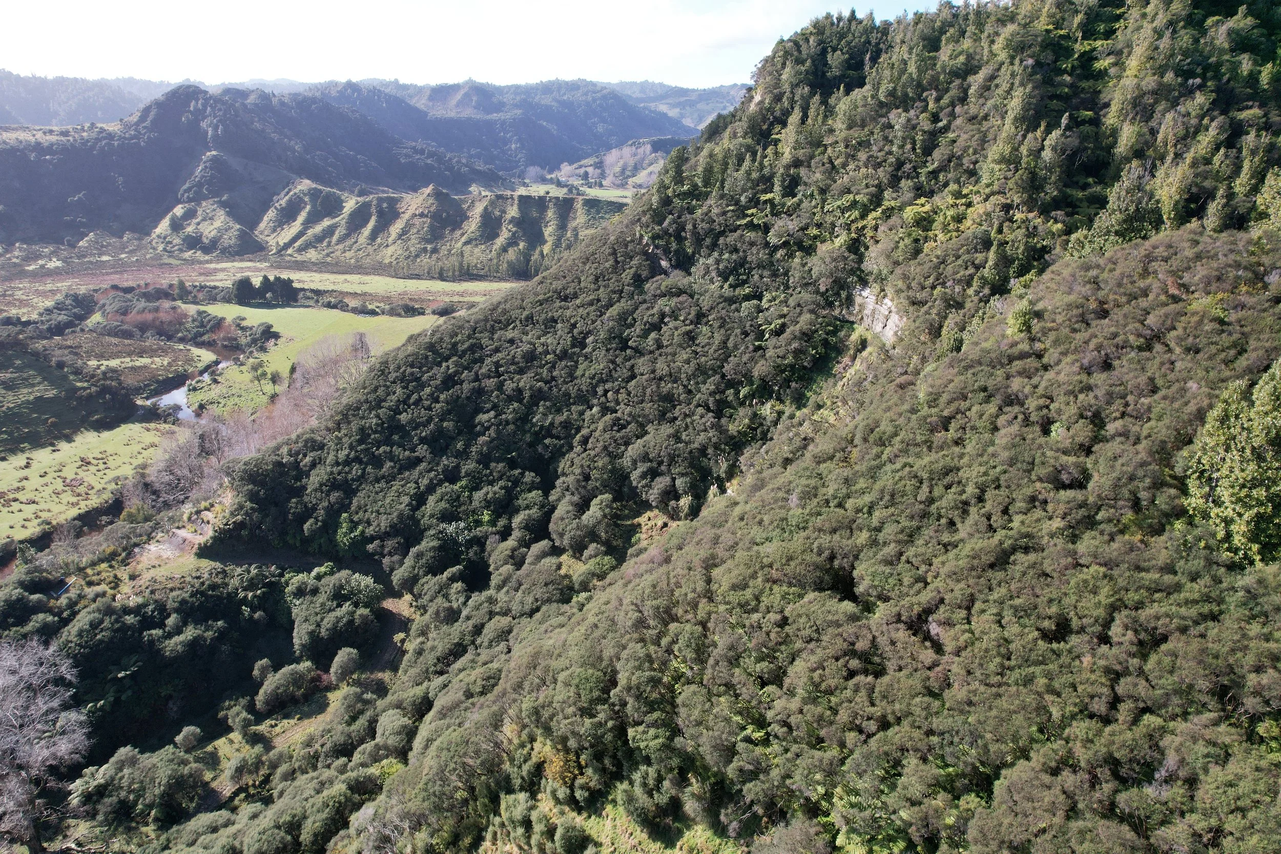 2024-07-24 11.50.04.jpg