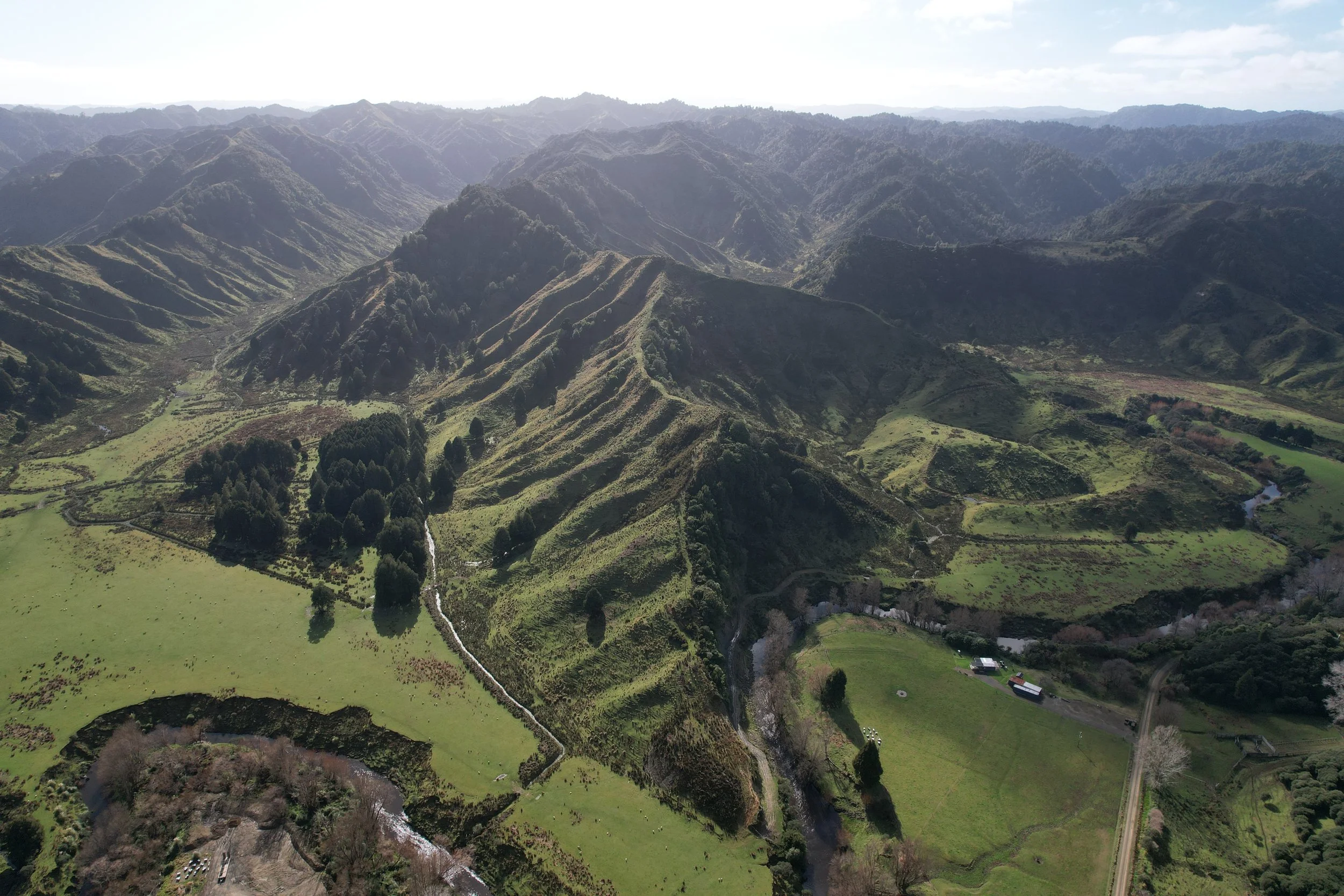 2024-07-24 11.56.00.jpg