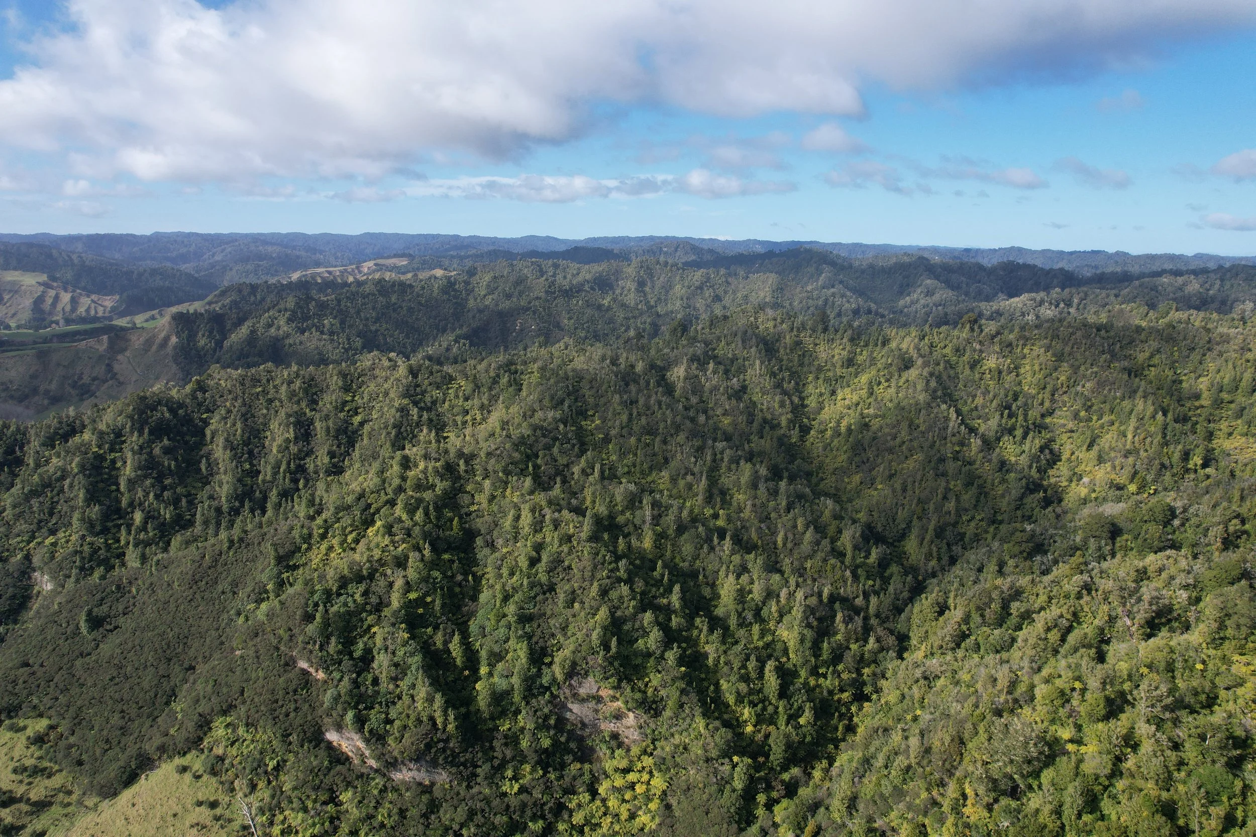 2024-07-24 11.56.10.jpg