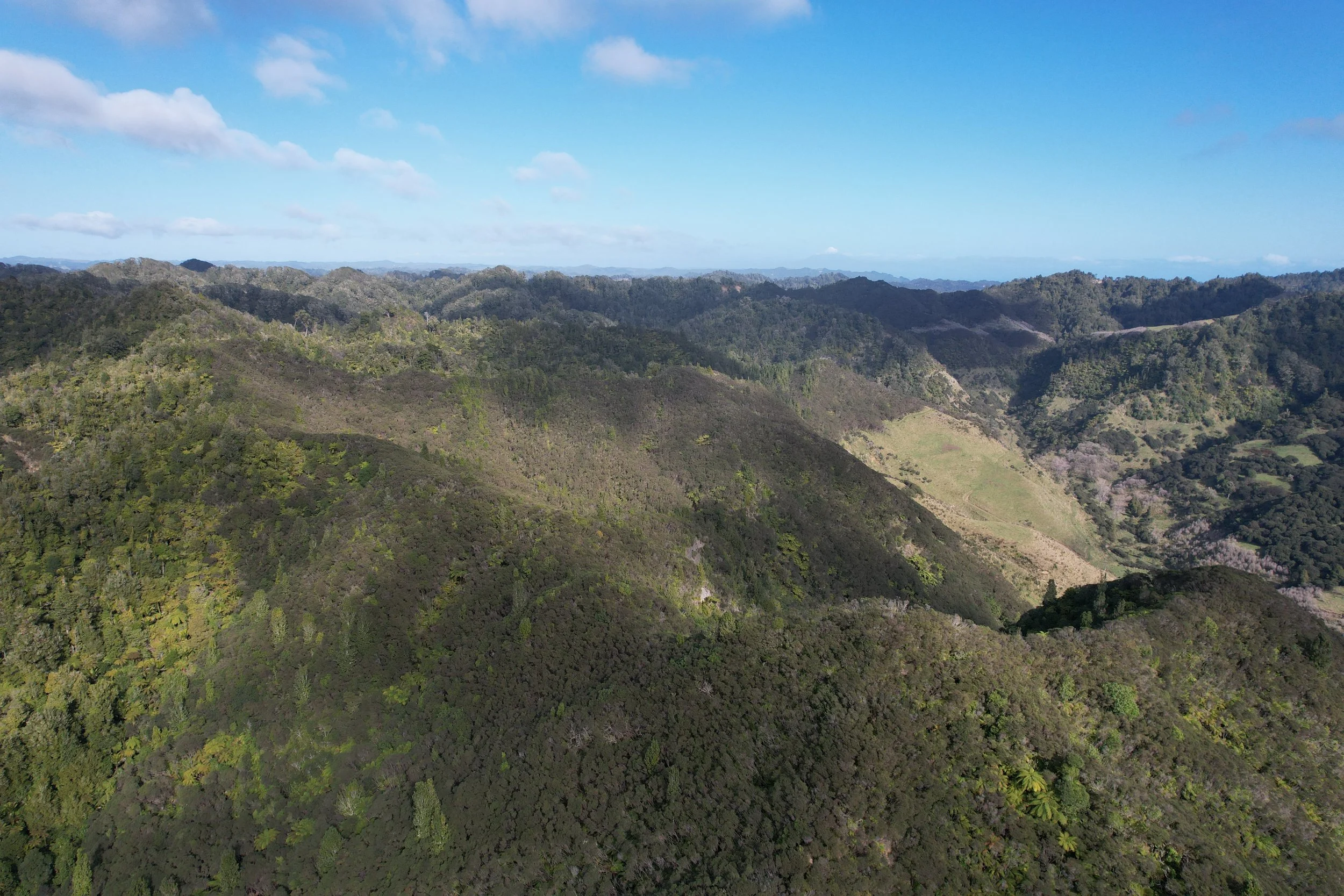 2024-07-24 11.56.14.jpg