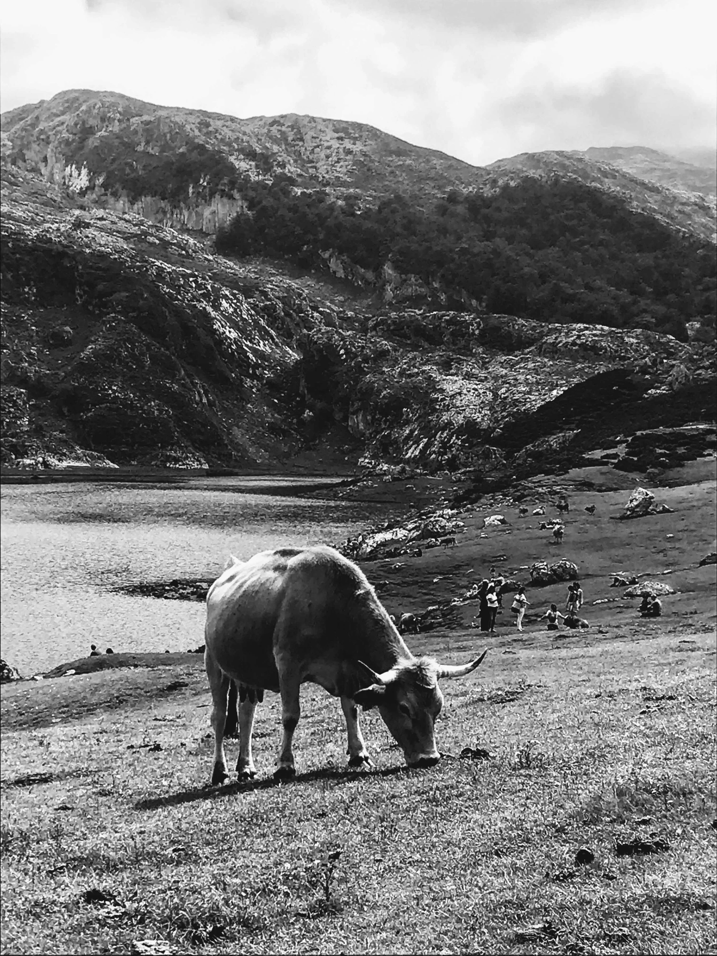 (2019) Los Picos de Europa, Spain