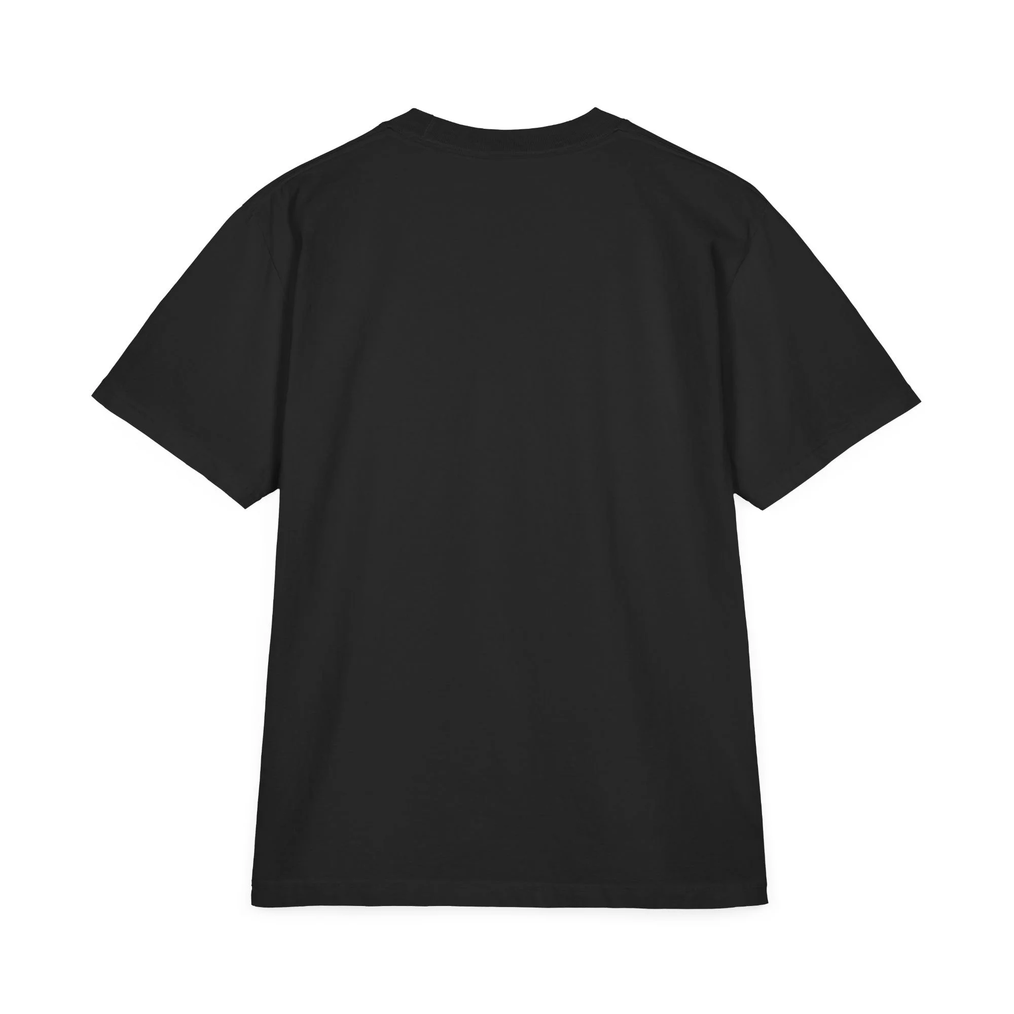 unisex-garment-dyed-drop-shoulder-t-shirt-black-back-6ac580b9aa0d7.jpg