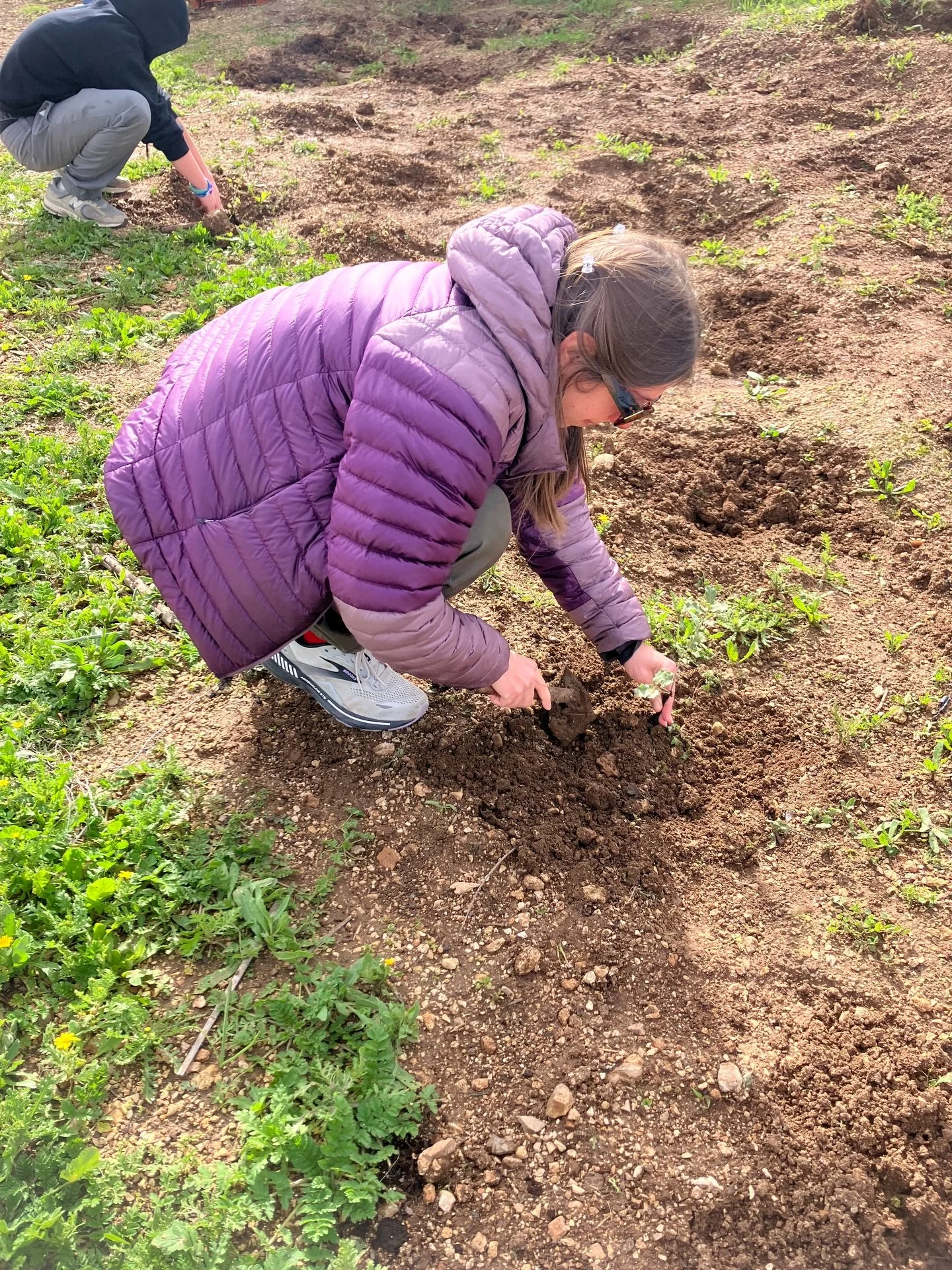 Hi 👋🏻 I&rsquo;m Jillian, and for those of you who are new around here, welcome, and to all thank you for being here 🫶

I began planting the roots of The Wellness Extension back in 2023, but the picture above is from this past December when I plant