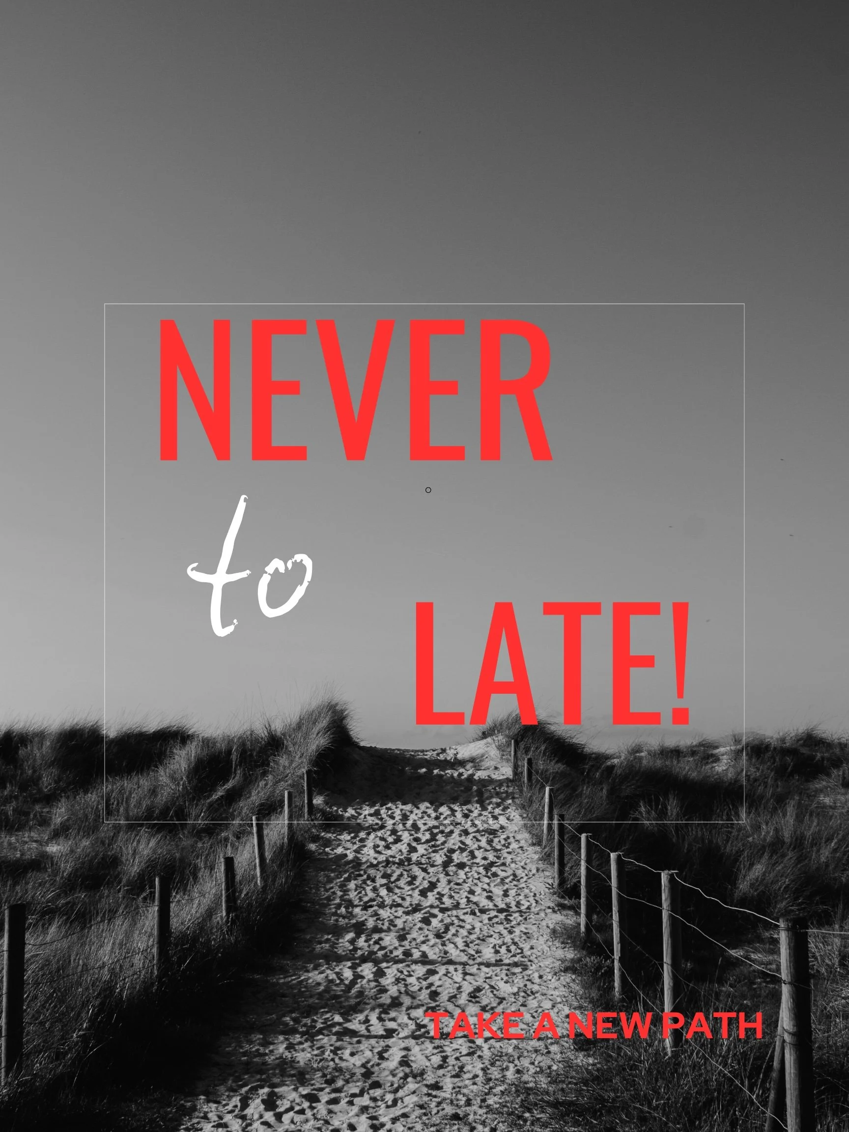 NEVER TOO LATE