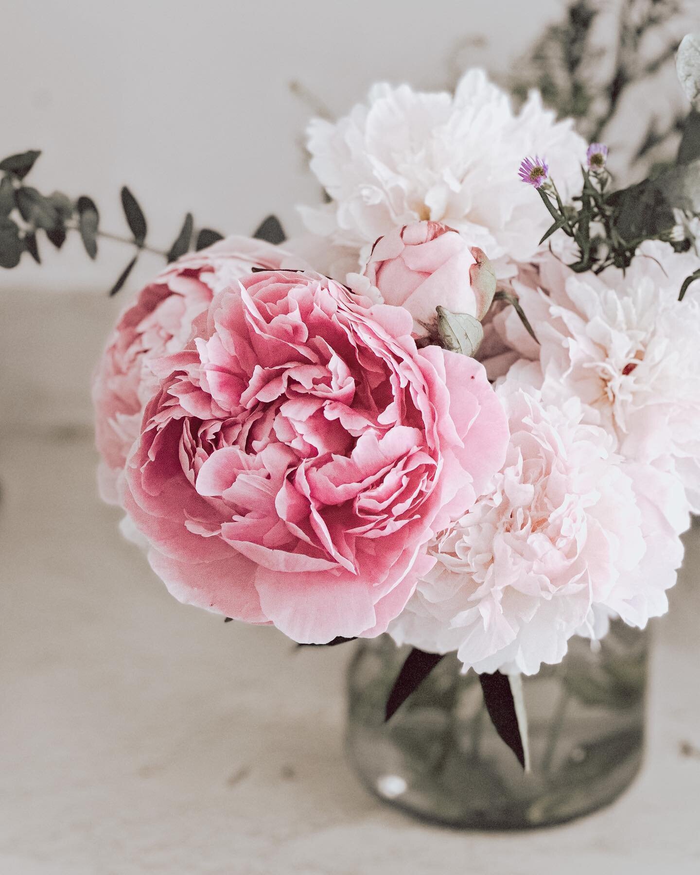 &ldquo;And the day came when the risk it took to remain tight in a bud was more painful than the risk it took to blossom.&rdquo;

~ Anais Nin

Enjoying the last of peony season, flowers bring so much joy and beauty to a space. What are your favourite