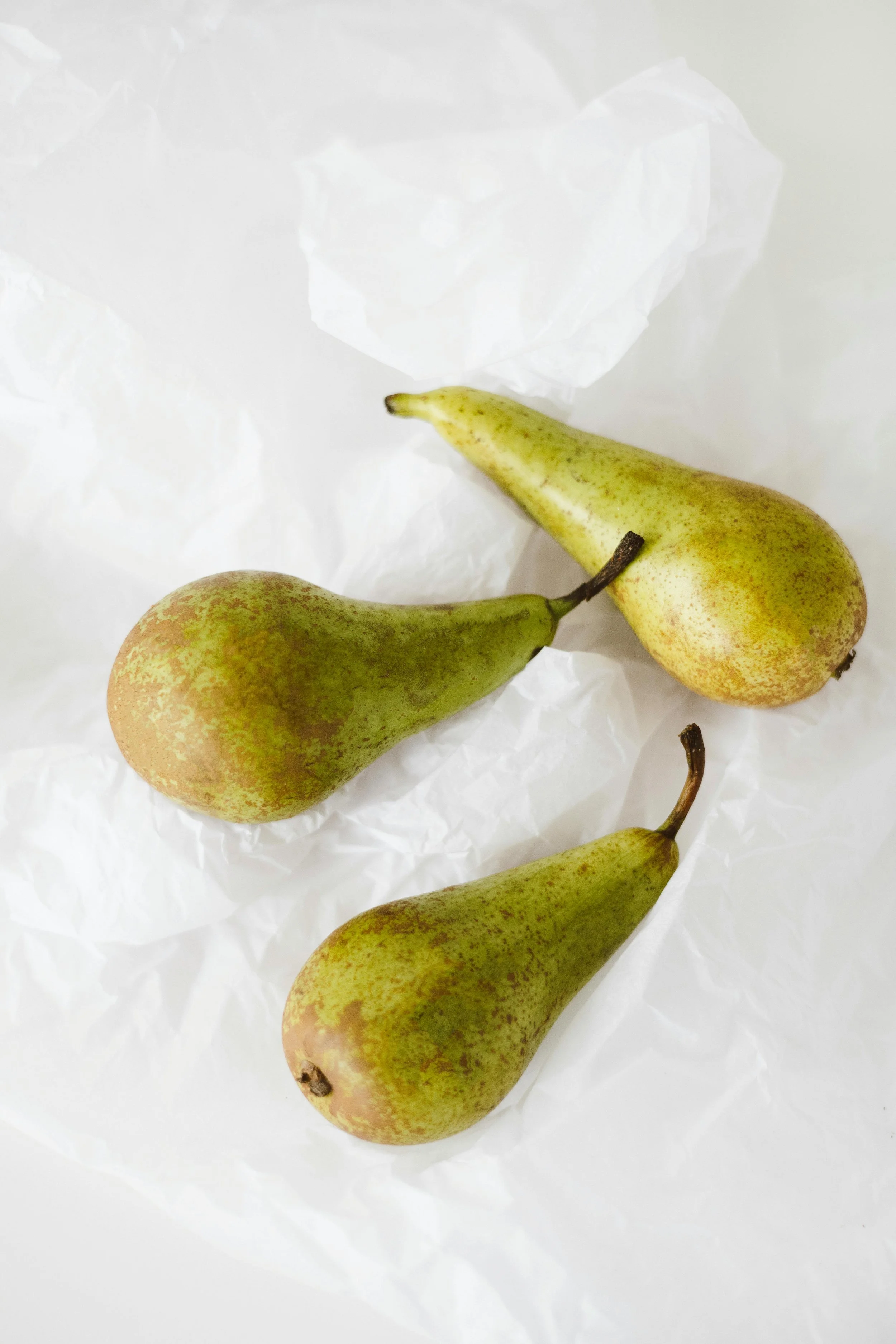 Pears on a white background