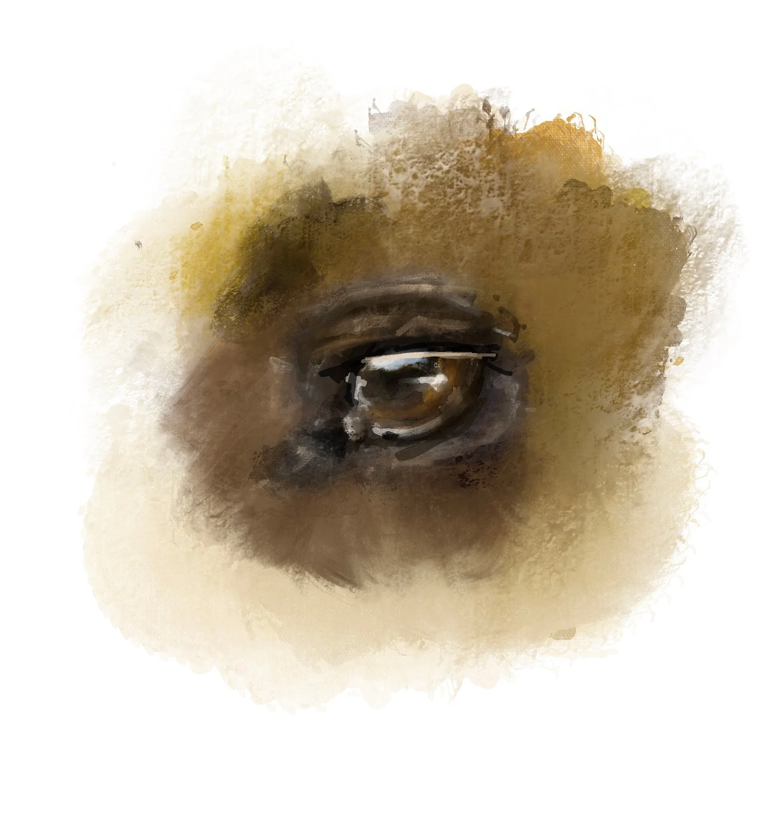 horseeye-300.jpg