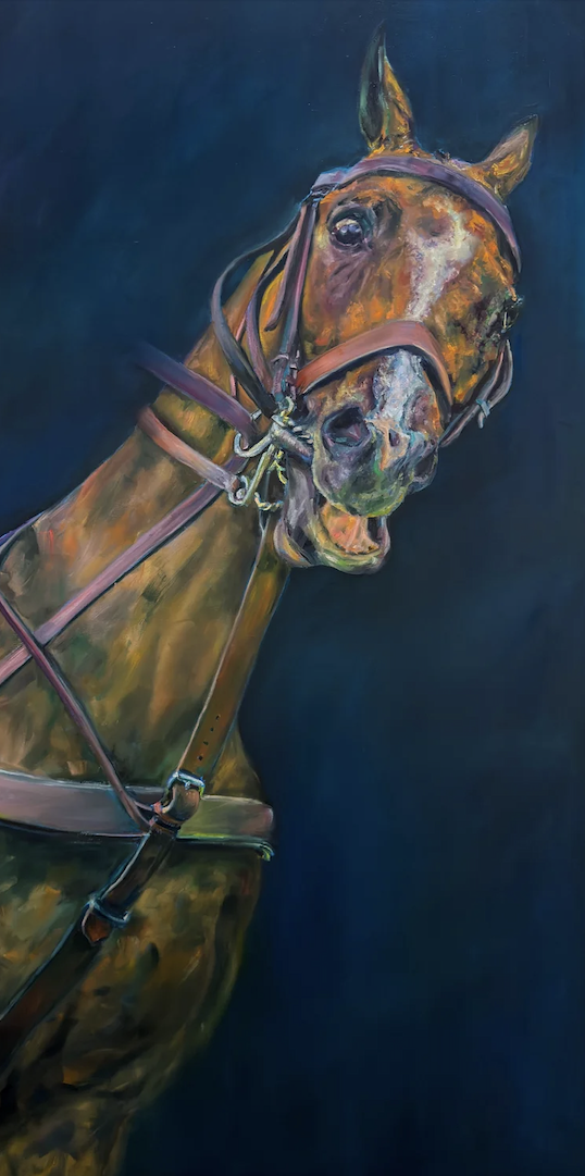 Just Comply - Available