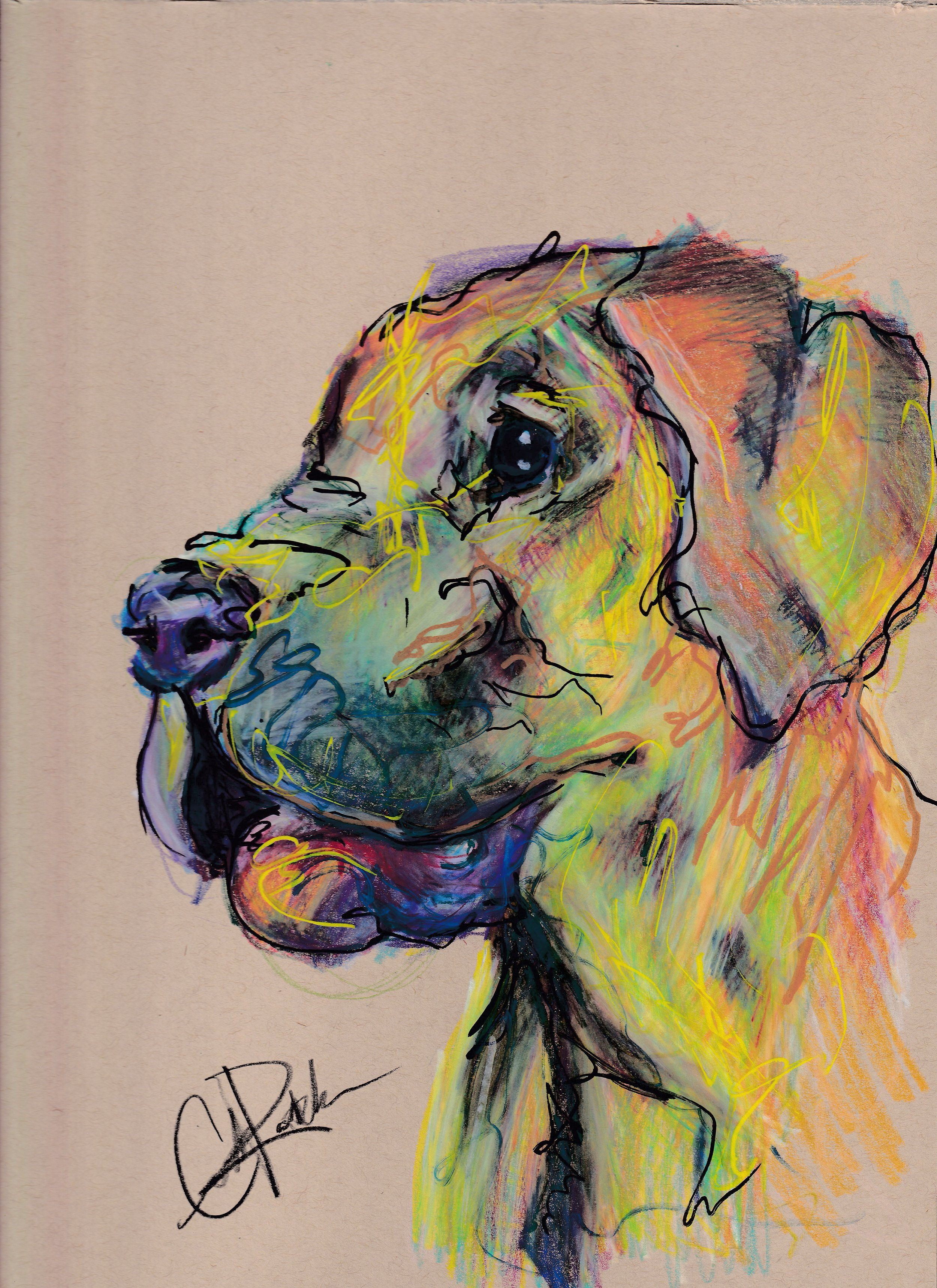 greatdane-300.jpg
