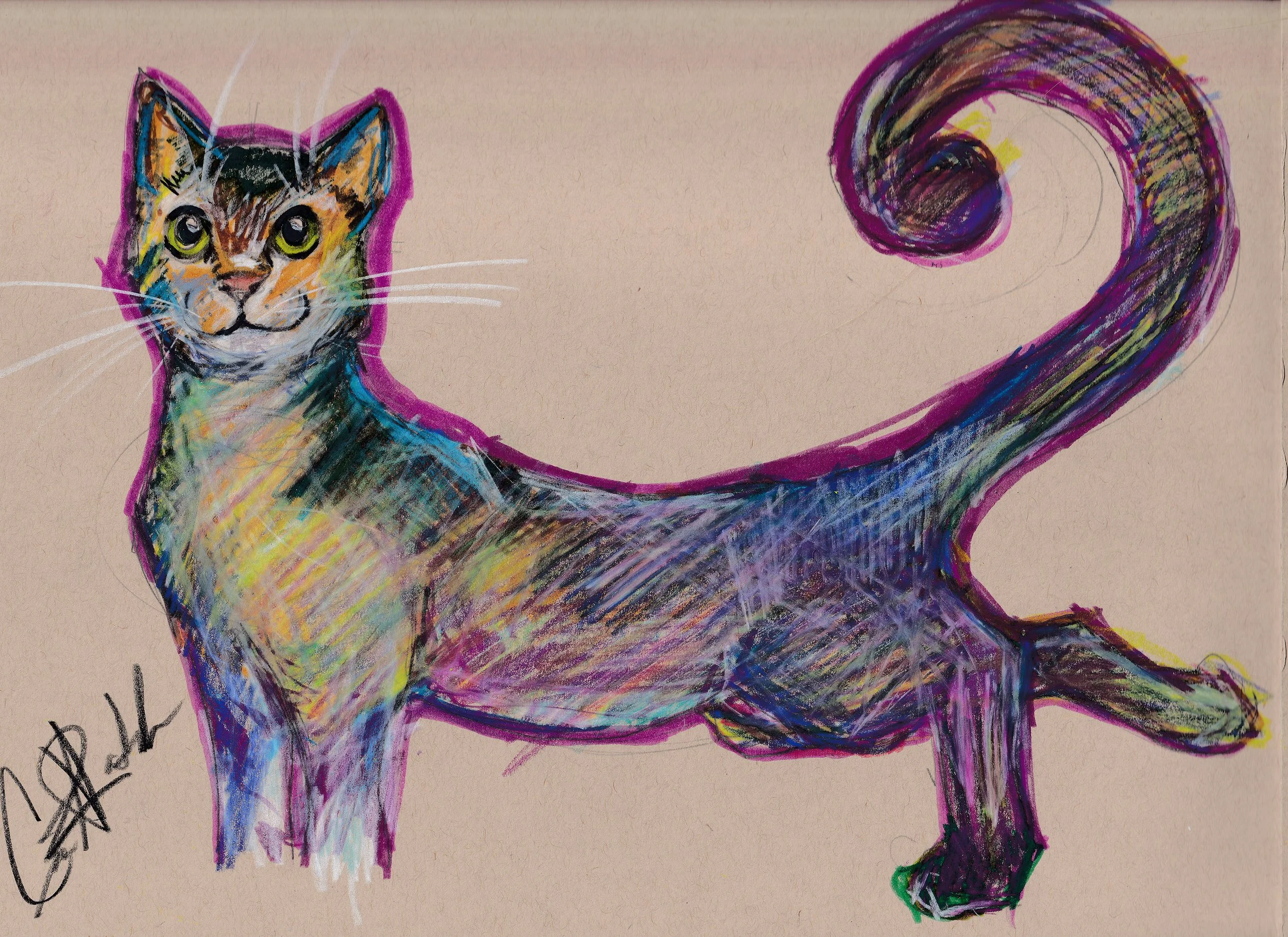 colored pencil cat-300.jpg