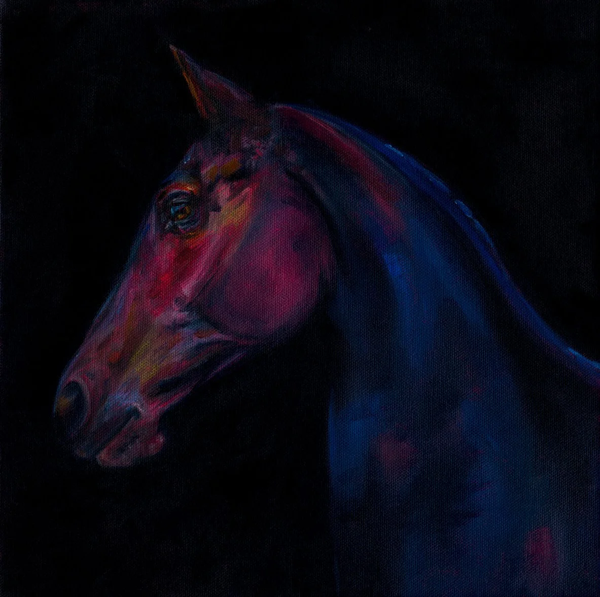 Oil painting of horse | Equine Fine Art | Horse Girl Art