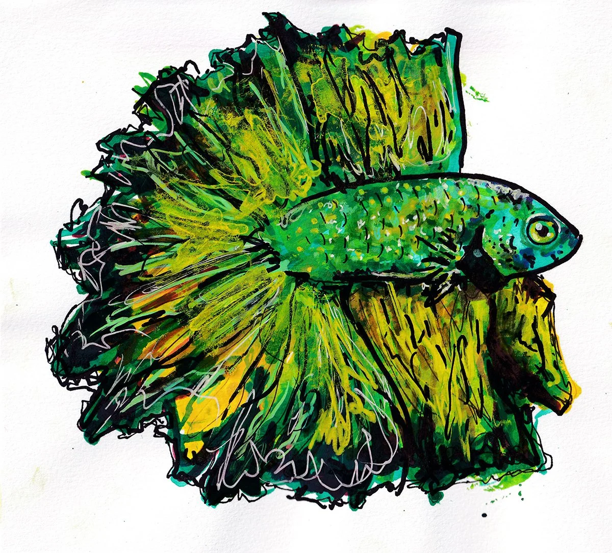 green and yellow beta.jpg