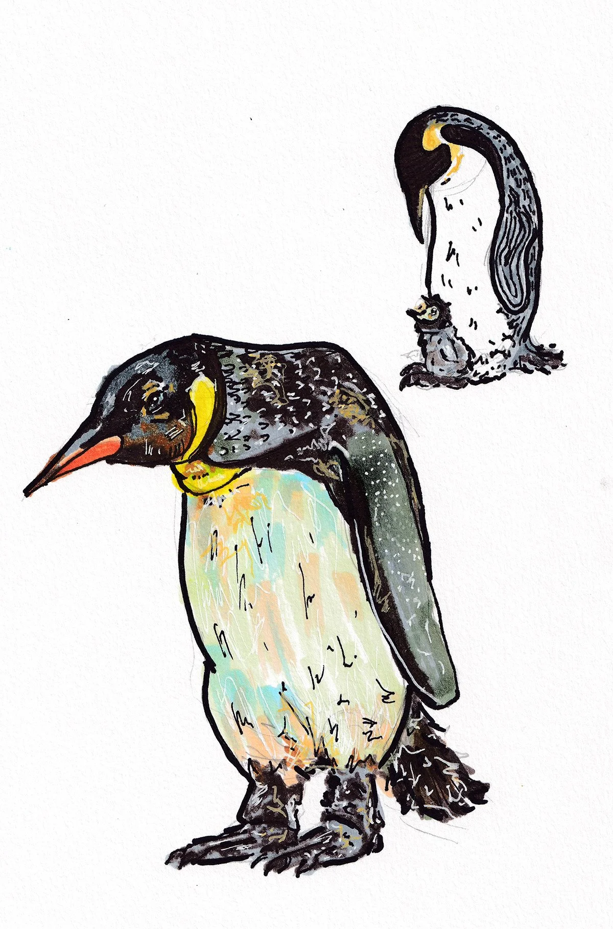 penguins 2.jpg