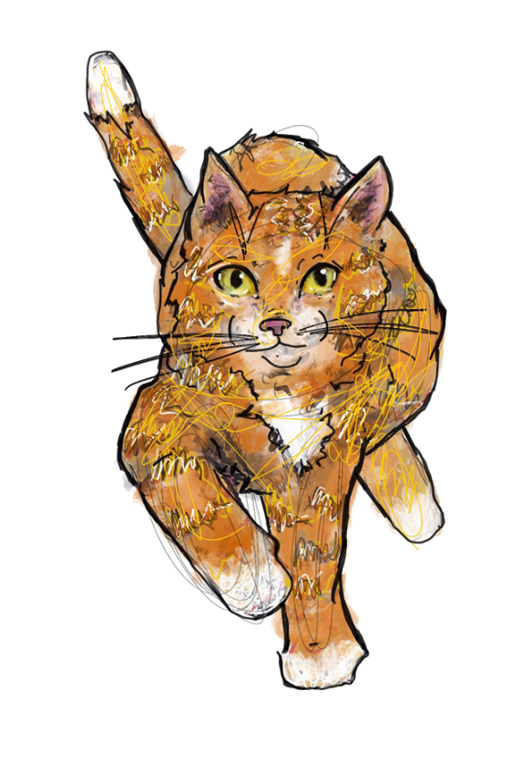 Screenshot 2025-01-07 at 10.13.10 AM.png