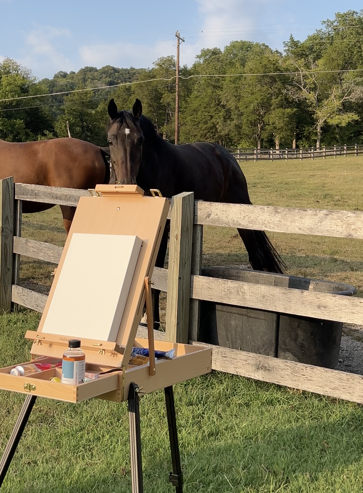 A black horse with a white star on its forehead standing behind a wooden fence, looking towards an artist's easel nearby, with another brown horse partially visible beside it - equine art