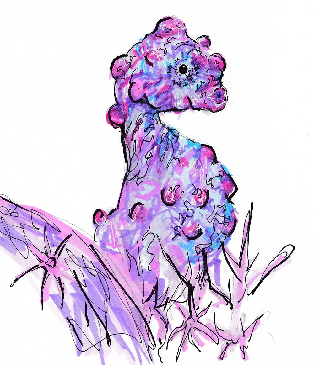 Pygmy Seahorse.jpg