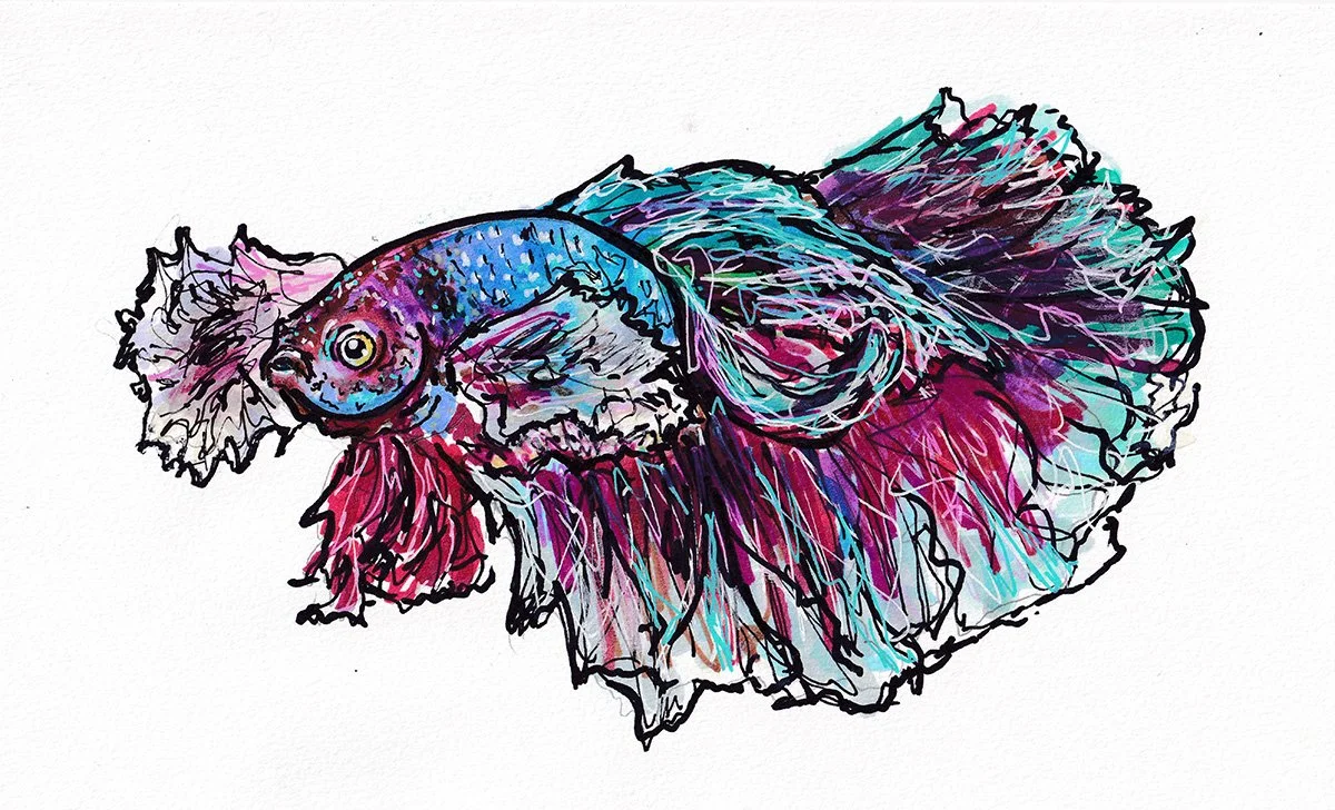 blue and purple beta.jpg