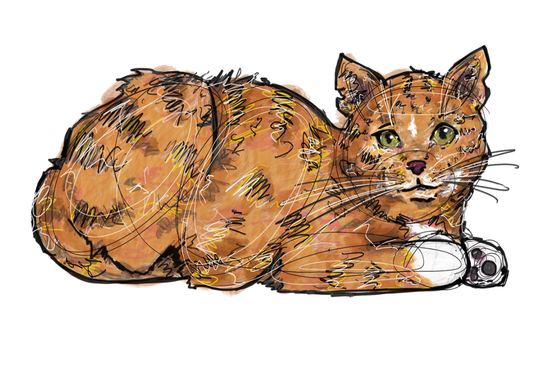 Screenshot 2025-01-07 at 10.13.18 AM.png