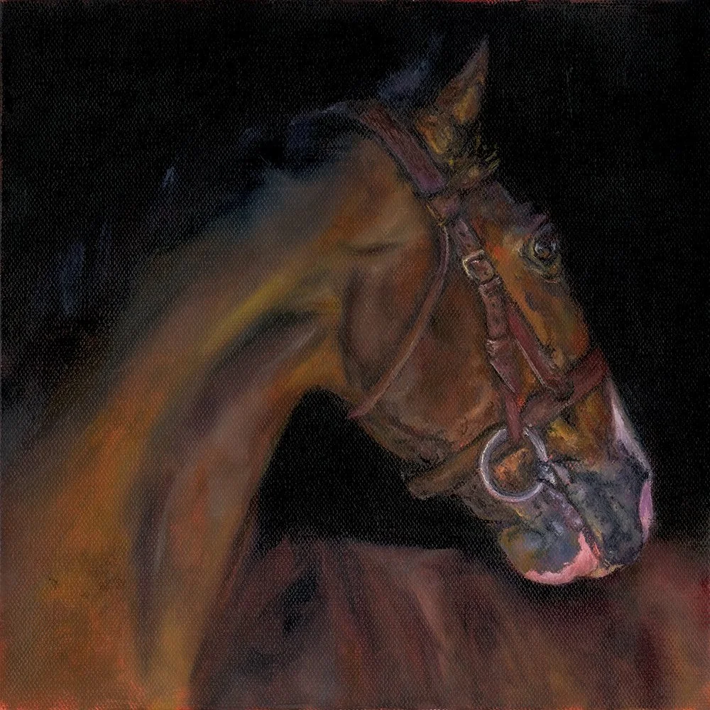 Cashmere Aura - Available