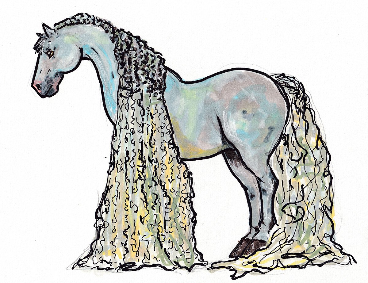horse.jpg