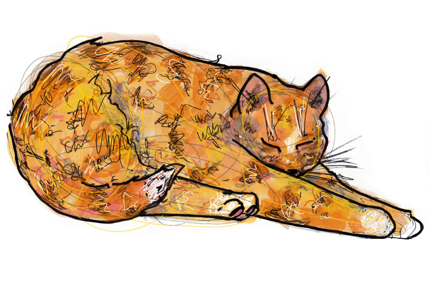 Screenshot 2025-01-07 at 10.12.55 AM.png