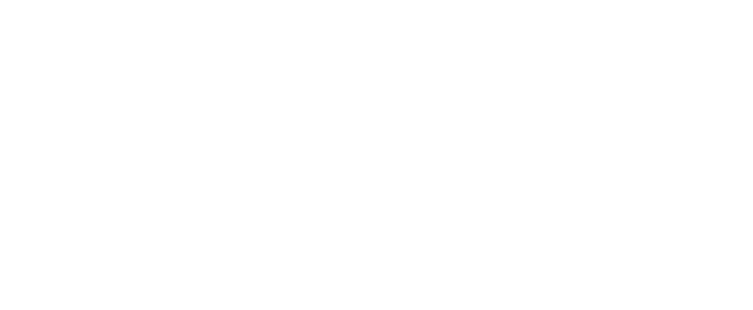 Holly Shin Photography